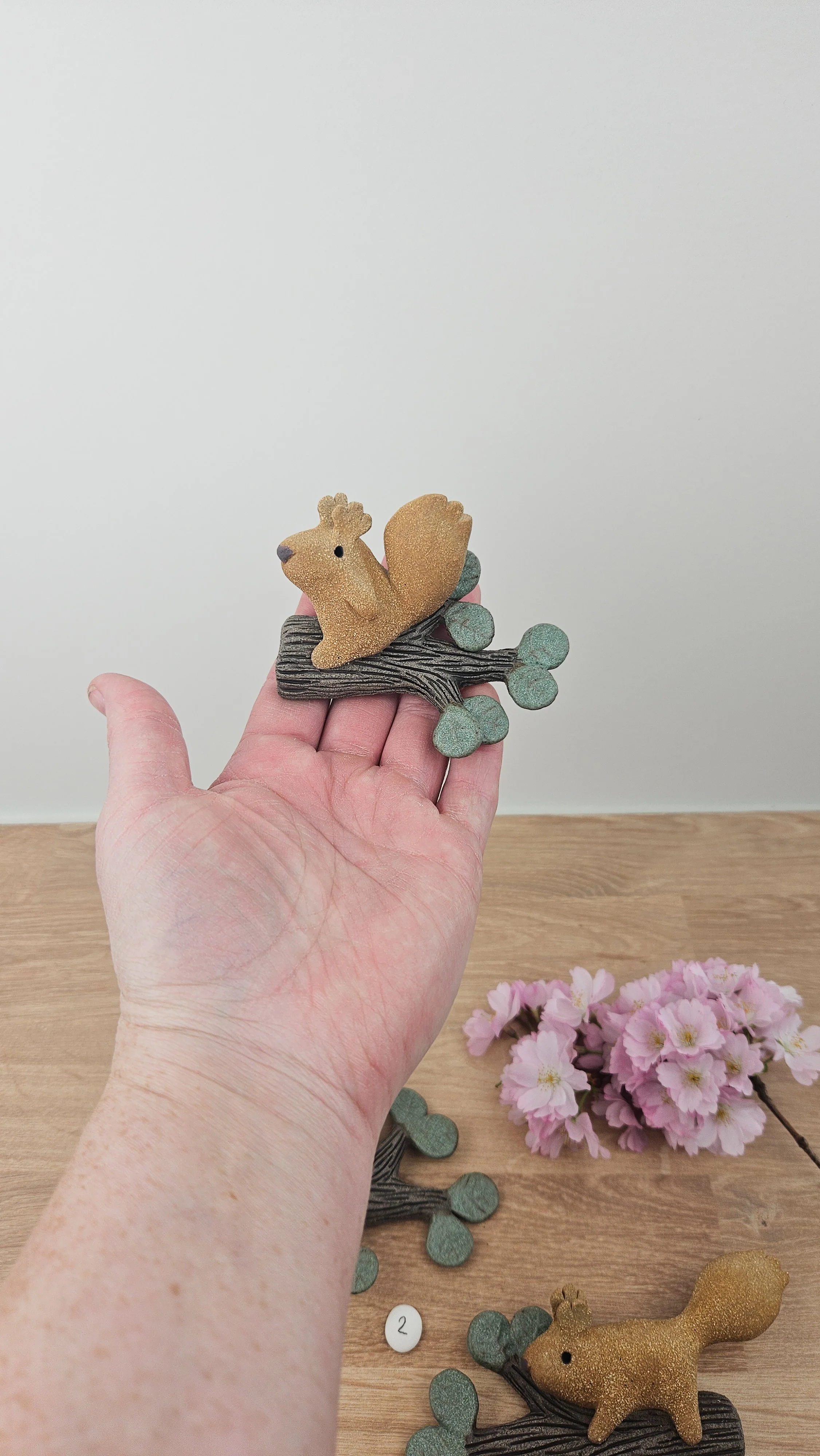 Branche Ecureuil 20260318_143809.jpg