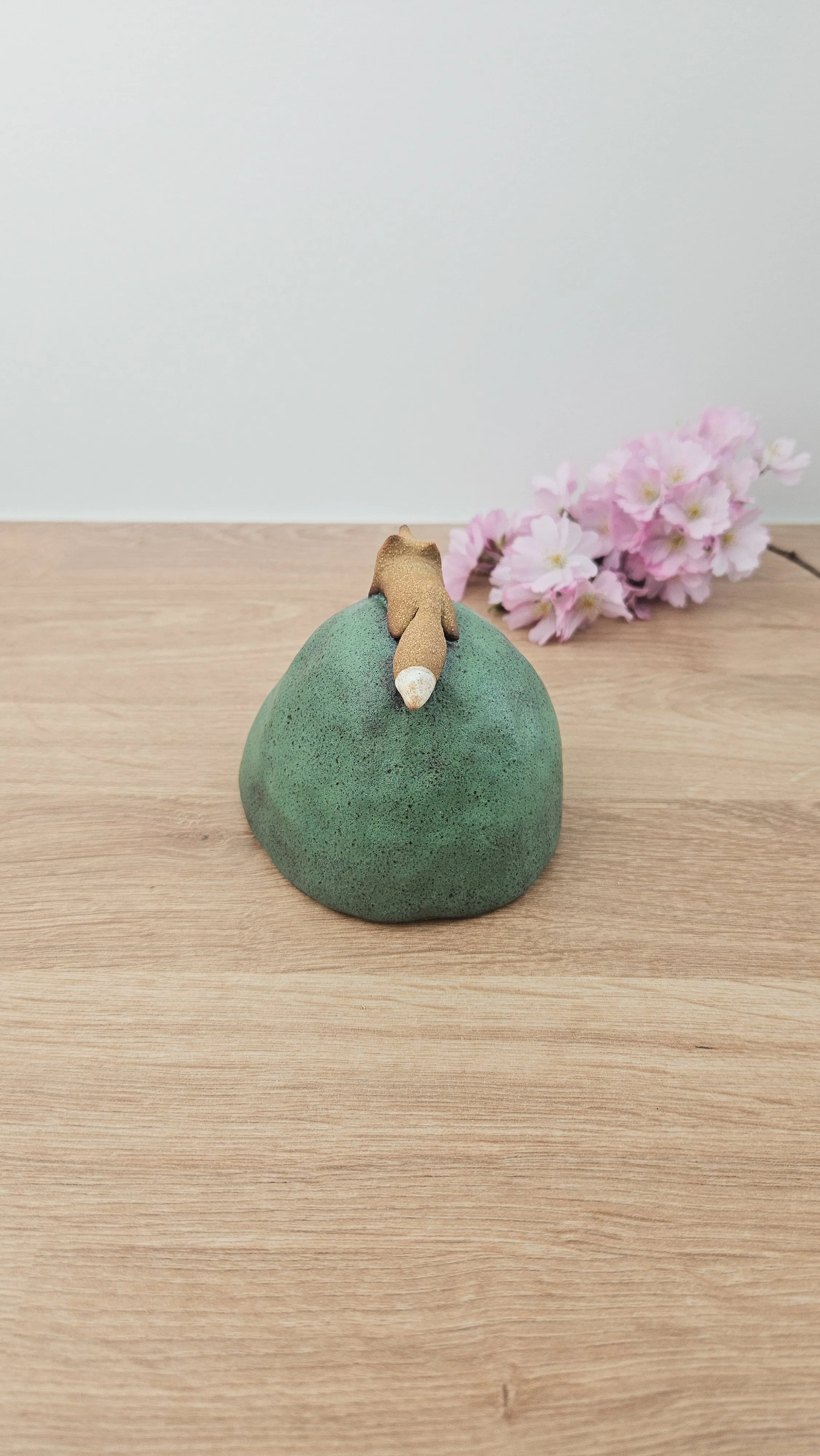 Colline Renard 320260318_142957.jpg