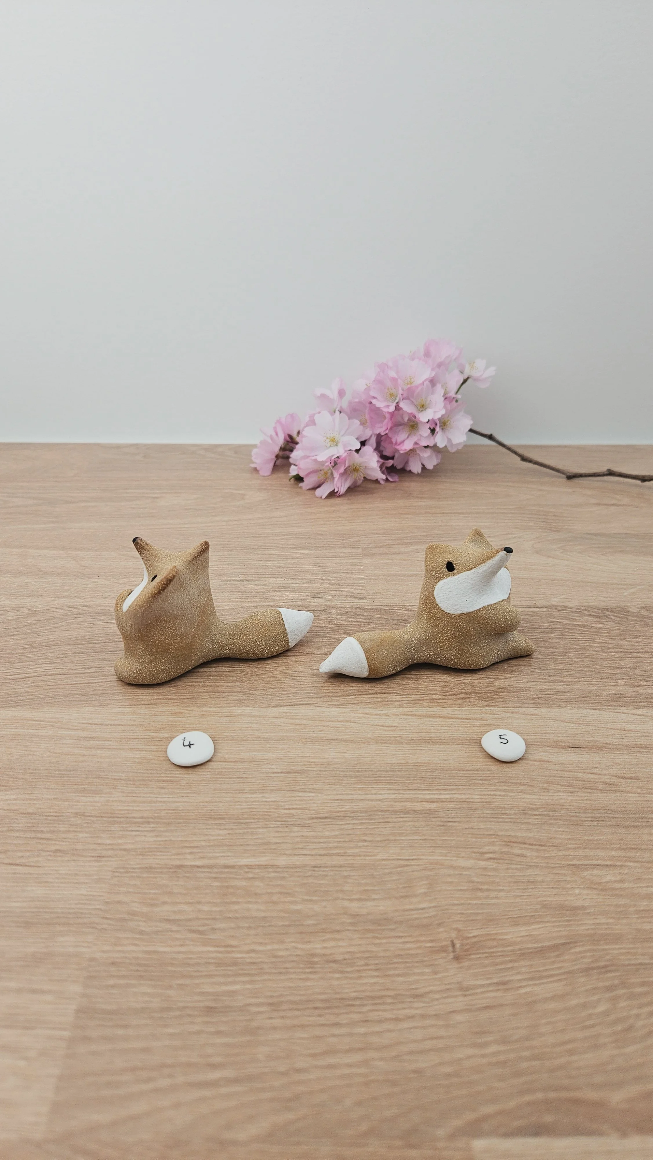 Mini Renard 20260318_141115.jpg