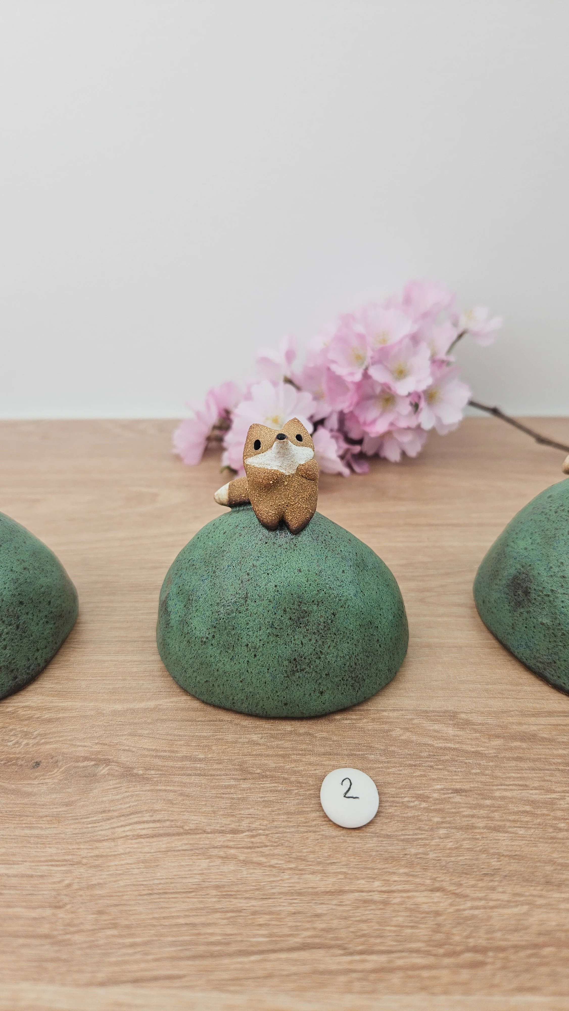 Mini colline renard20260318_142155.jpg