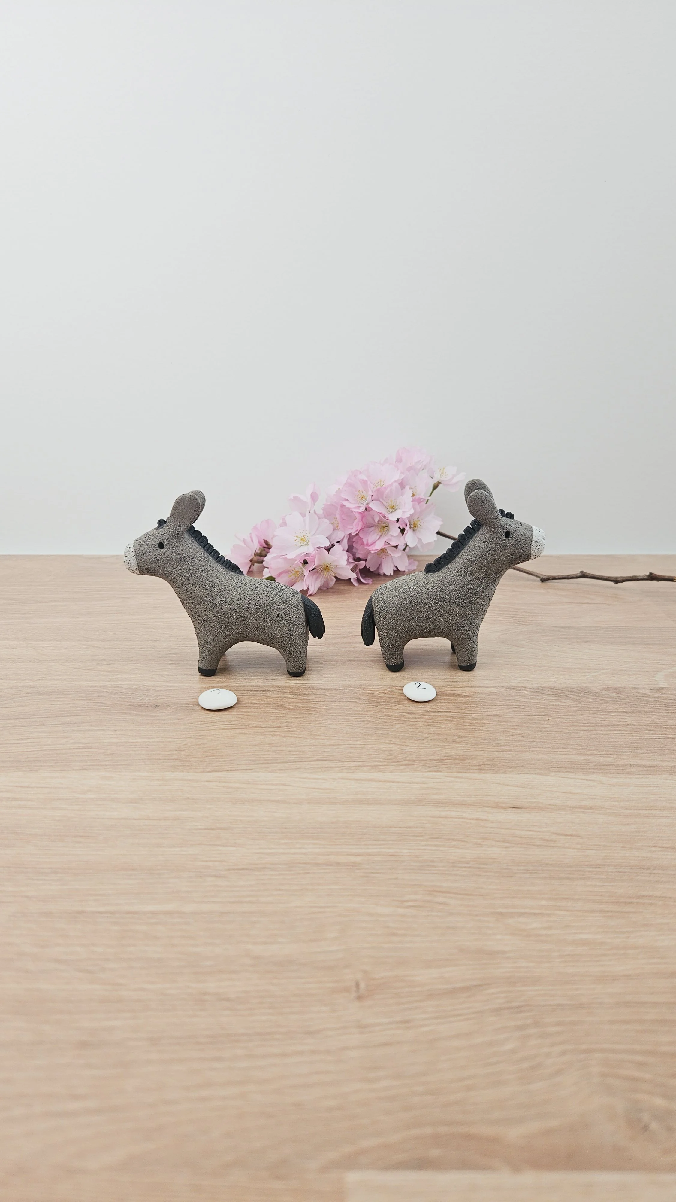 Mini Ane 20260318_134018.jpg