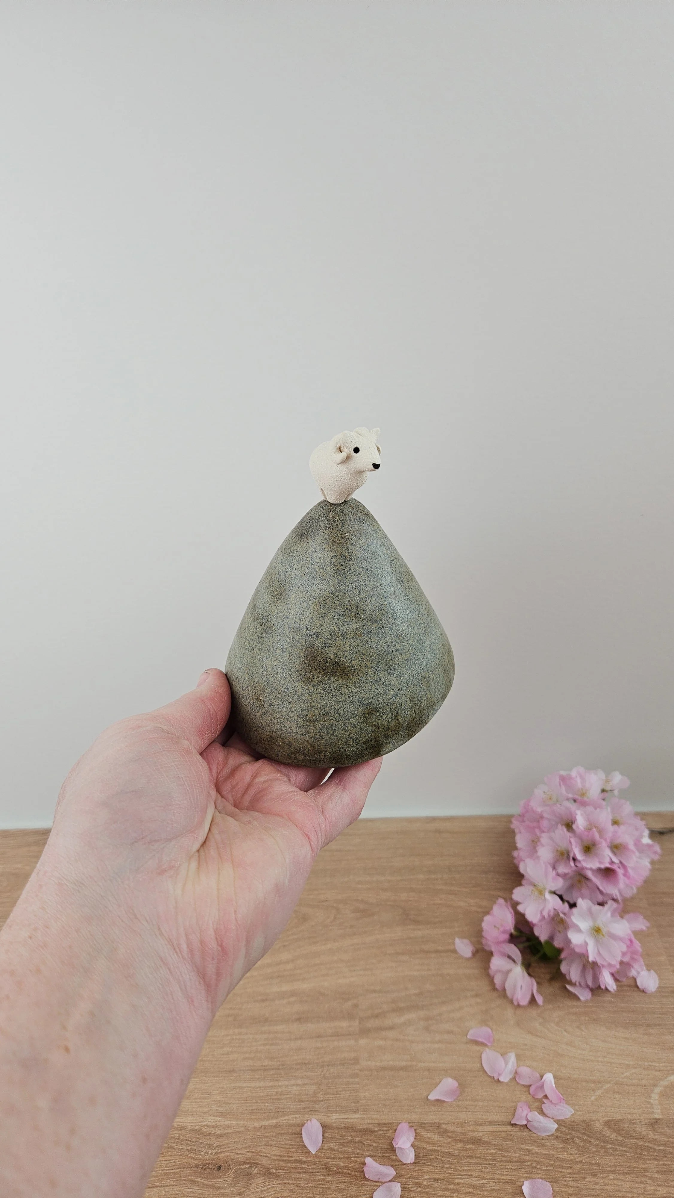 montagne Bouc 320260319_123940.jpg