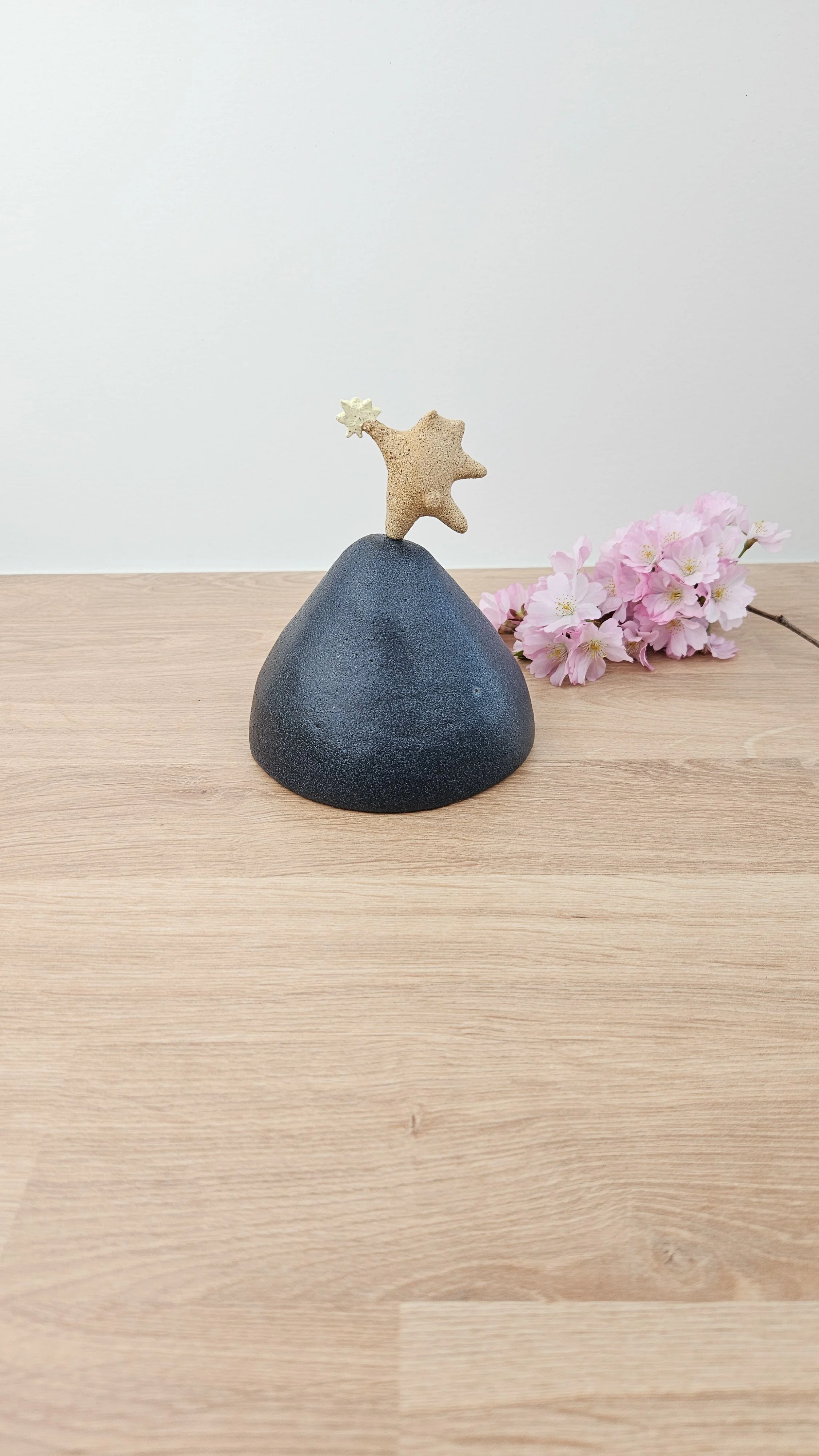 Danseur étoile 1 20260318_145153.jpg