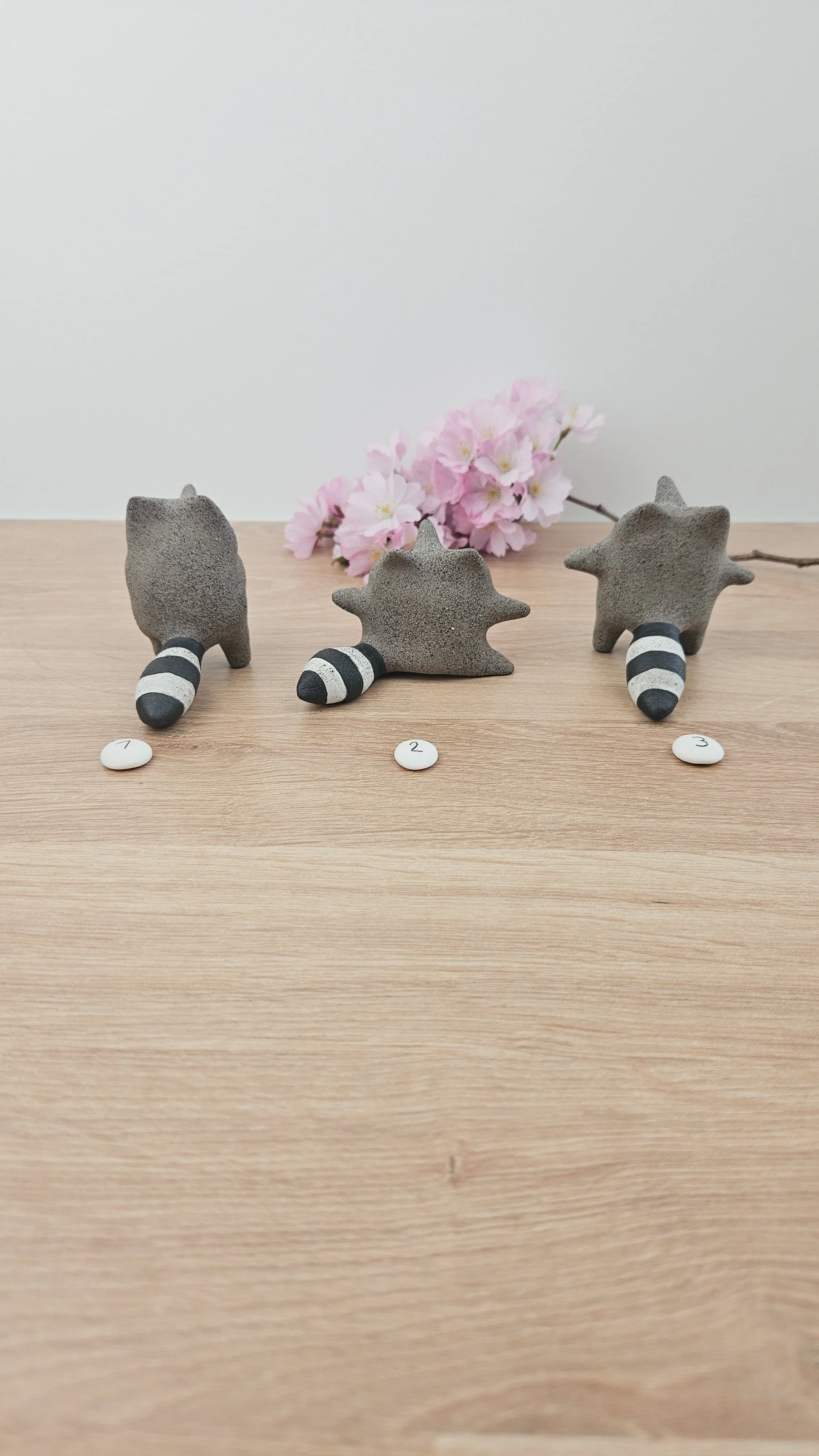 Mini Raton 20260318_135910.jpg