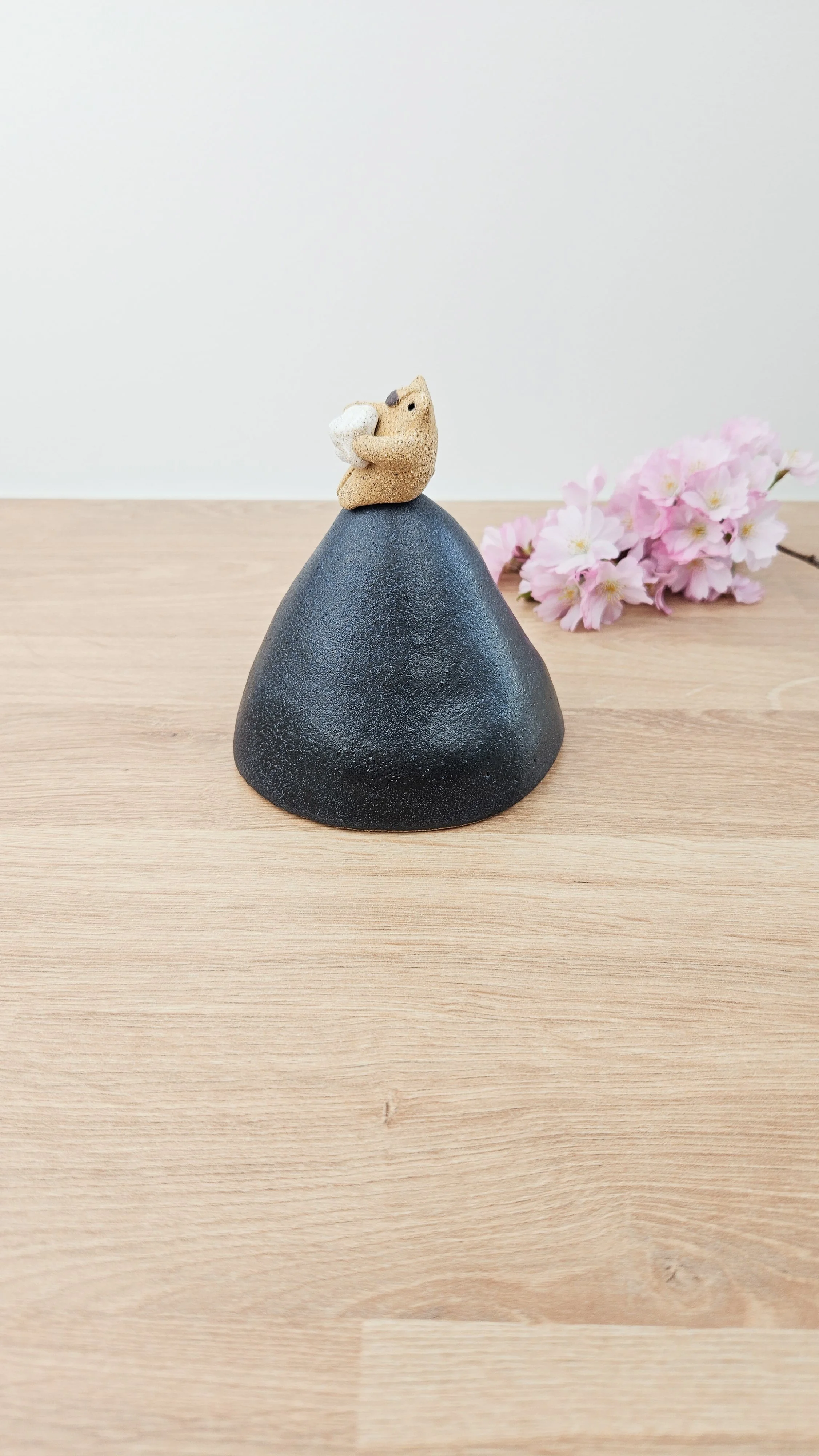 Montagne Nuage 2 20260318_145016.jpg