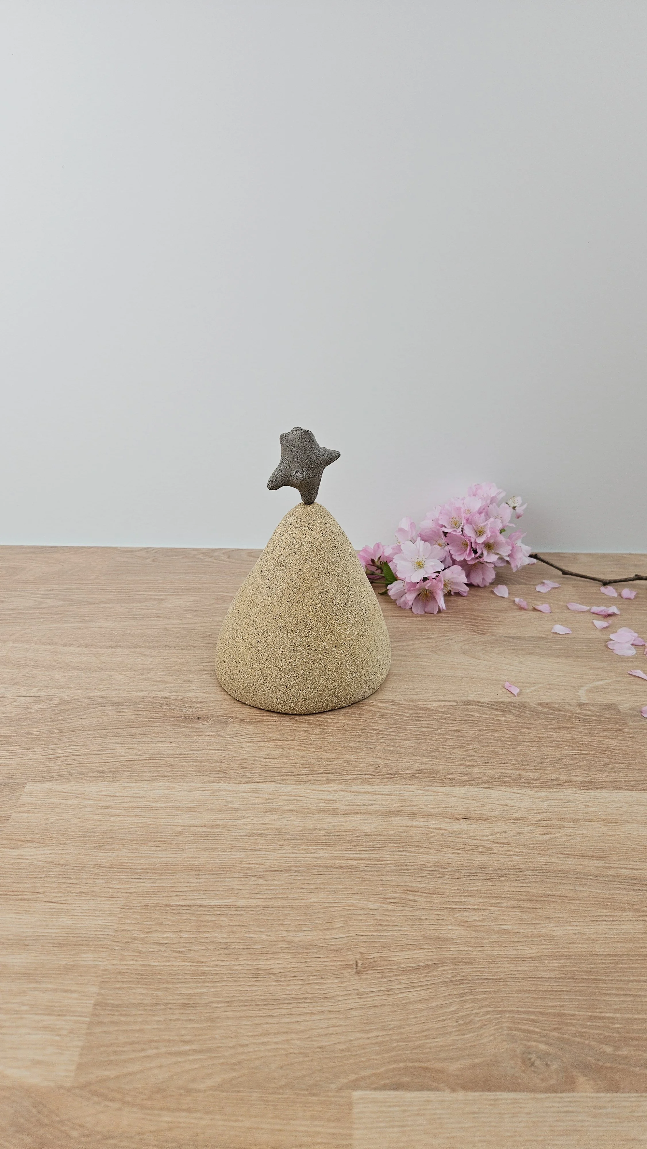 Montagne danse 220260319_142935.jpg