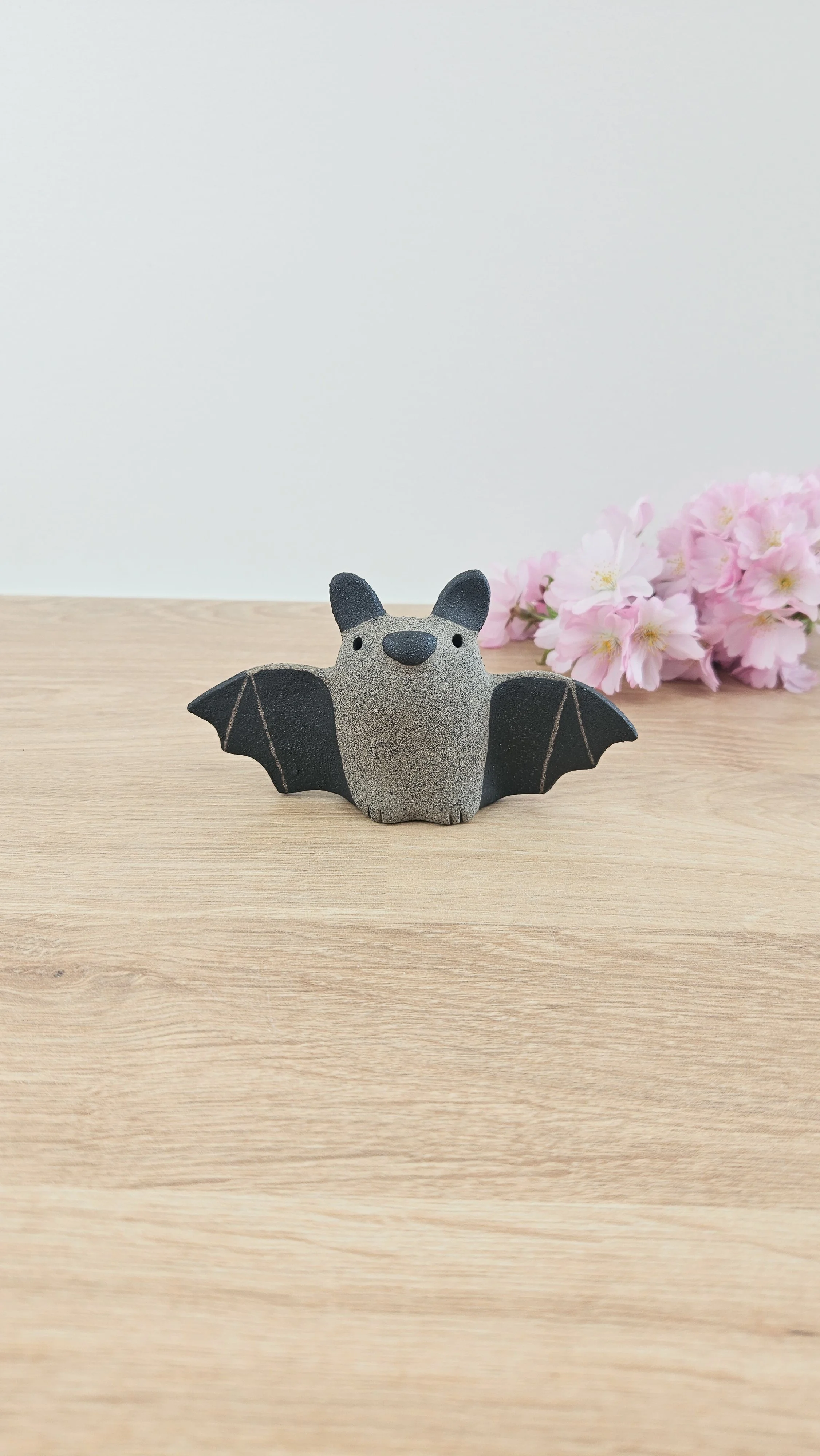 Chauve souris 20260319_115704.jpg