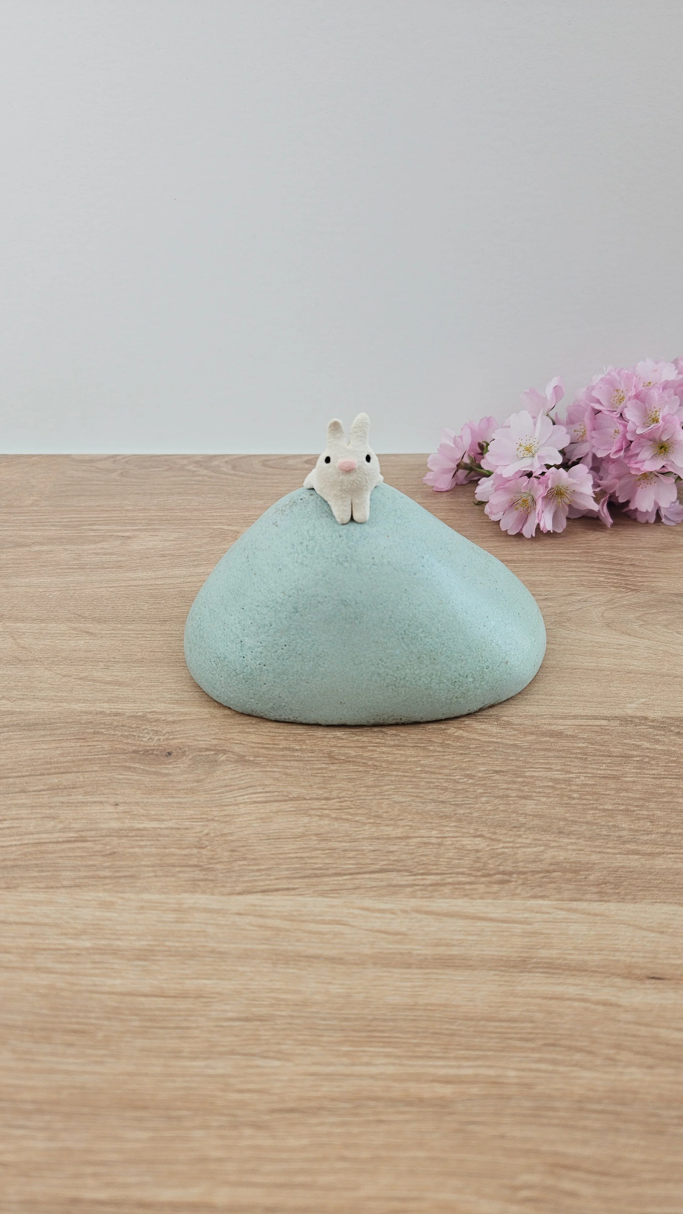 colline lapin 220260319_120923.jpg