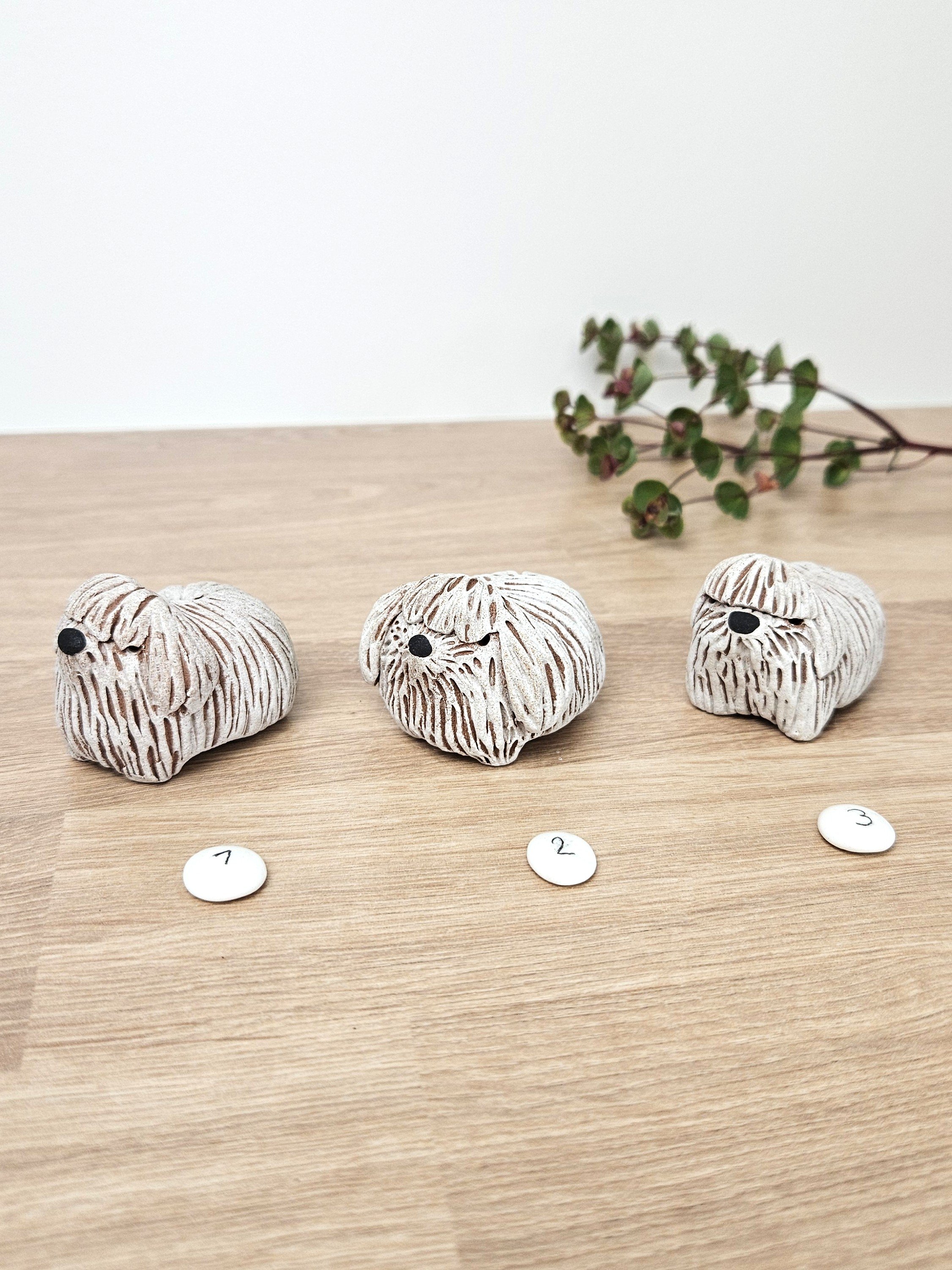 mini chien poilu (4).jpg