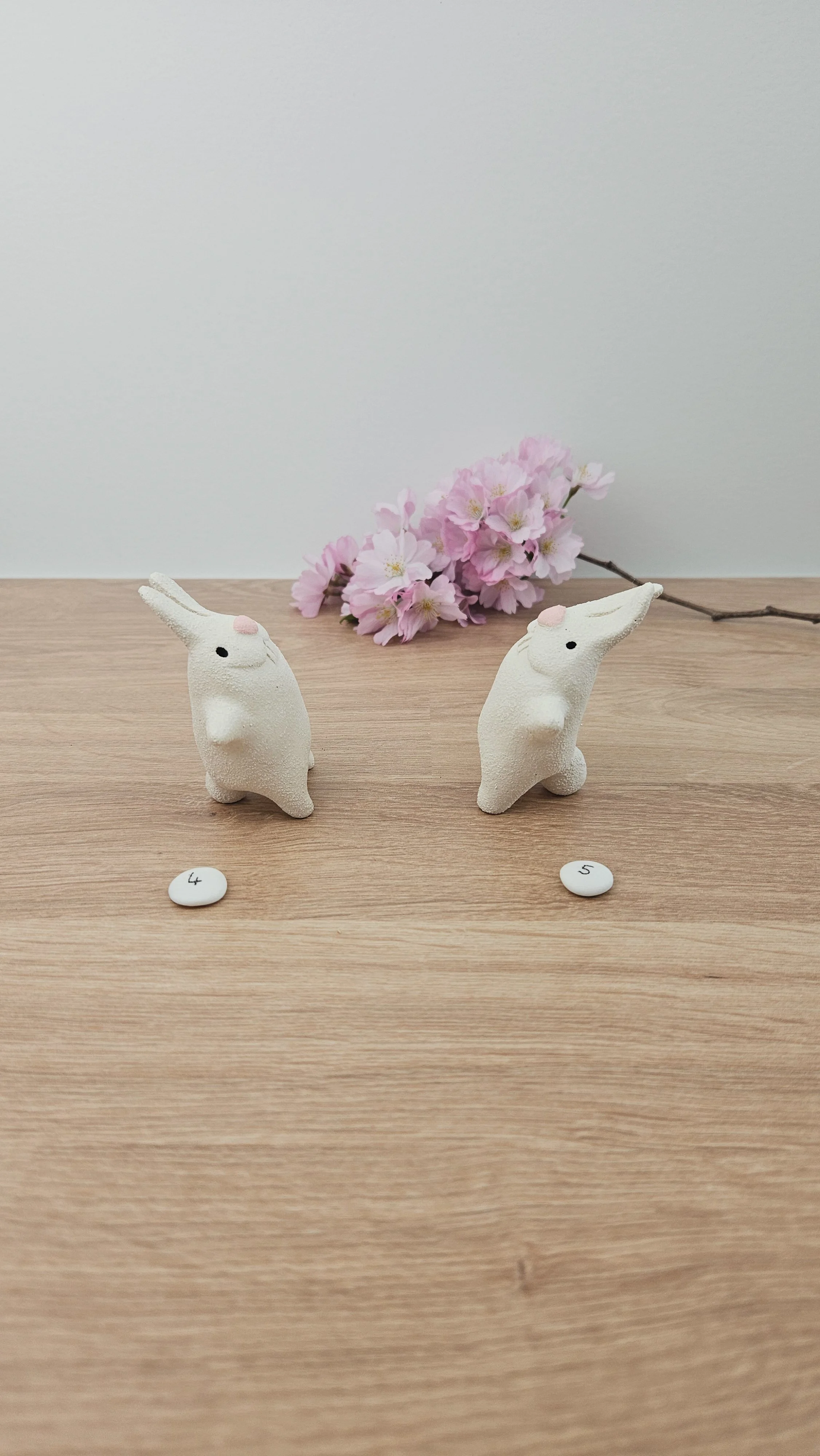 Mini Lapin20260318_141441.jpg