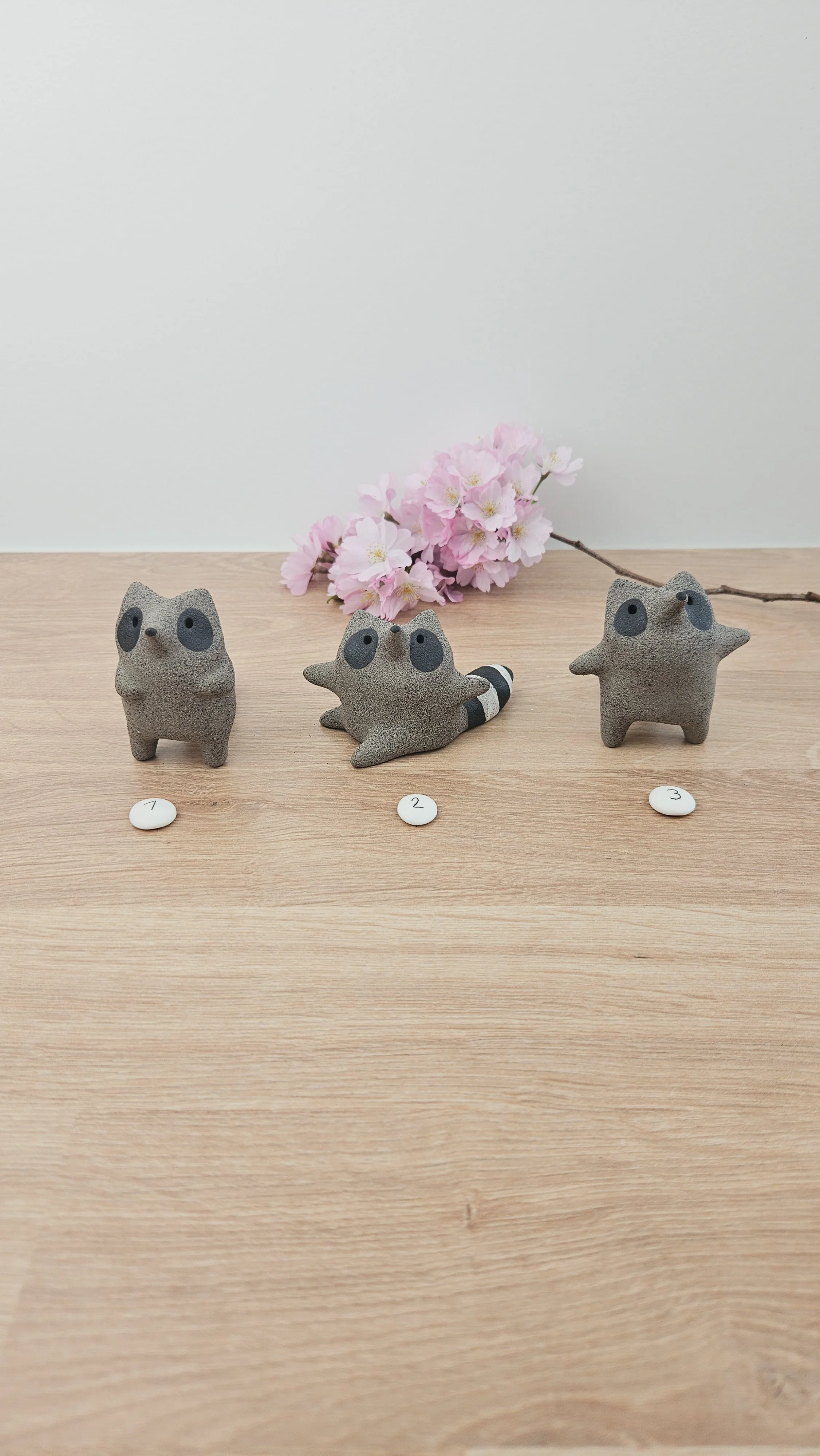 Mini Raton 20260318_135851.jpg