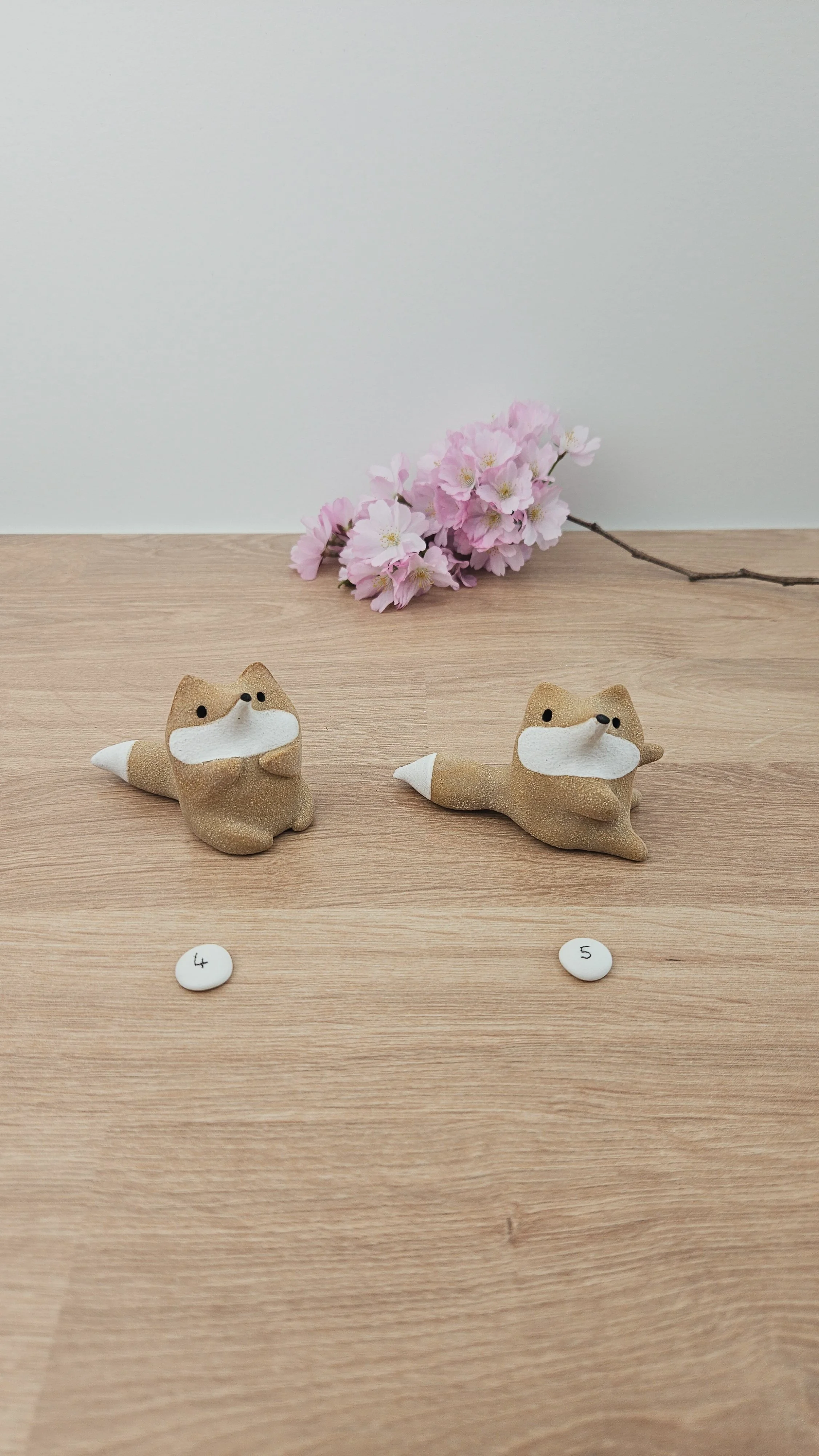 Mini Renard 20260318_141058.jpg