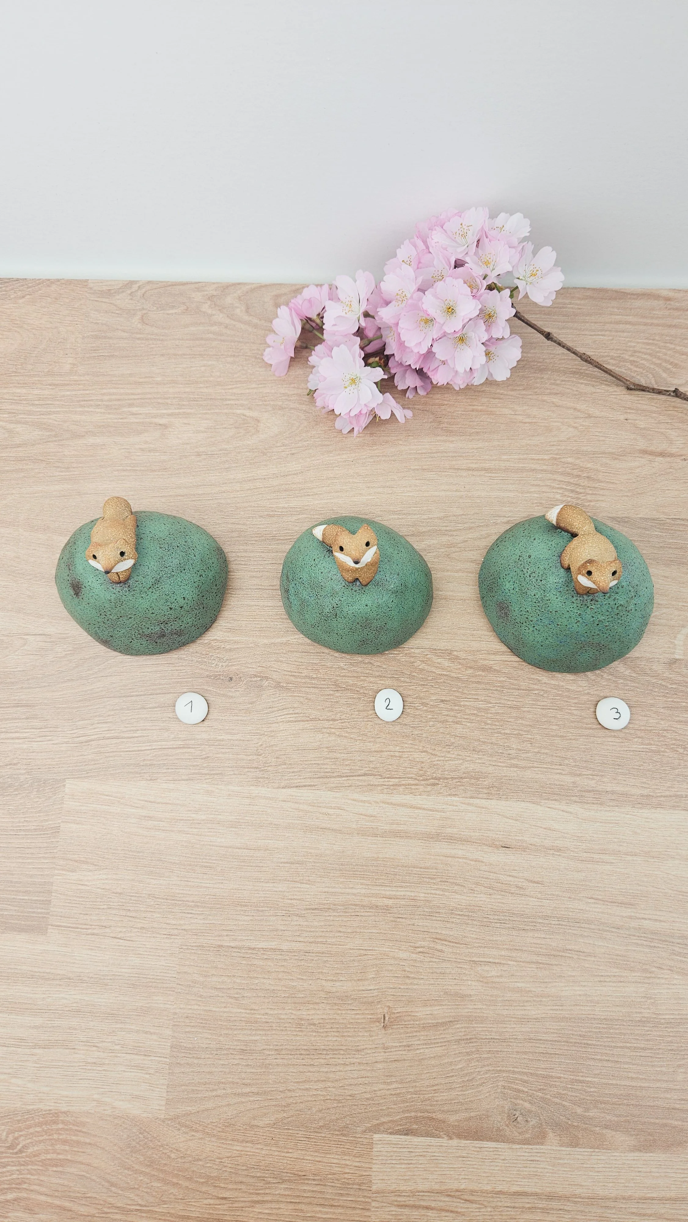 Mini colline renard20260318_142147.jpg