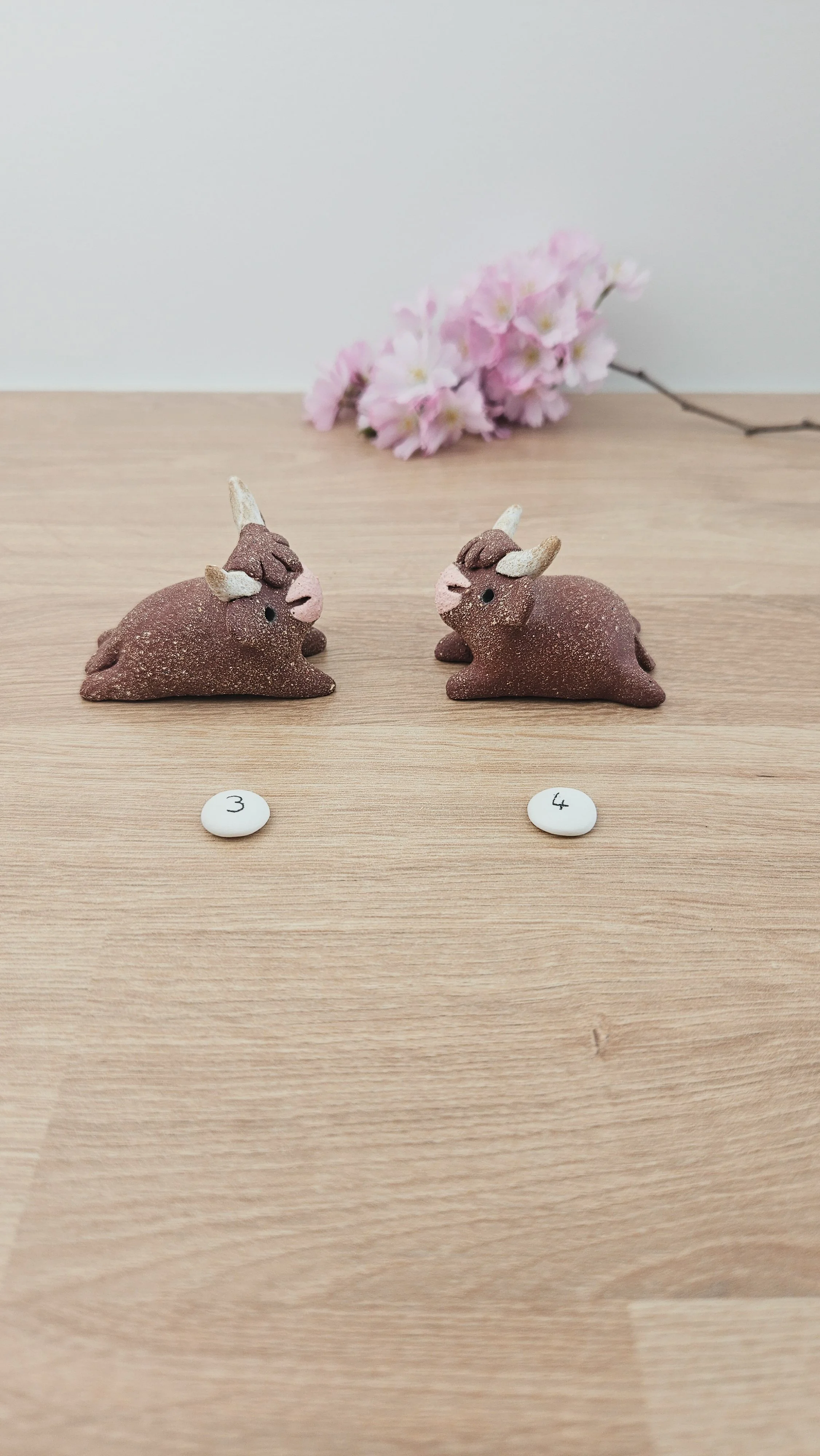 Mini Vache 20260318_140644.jpg