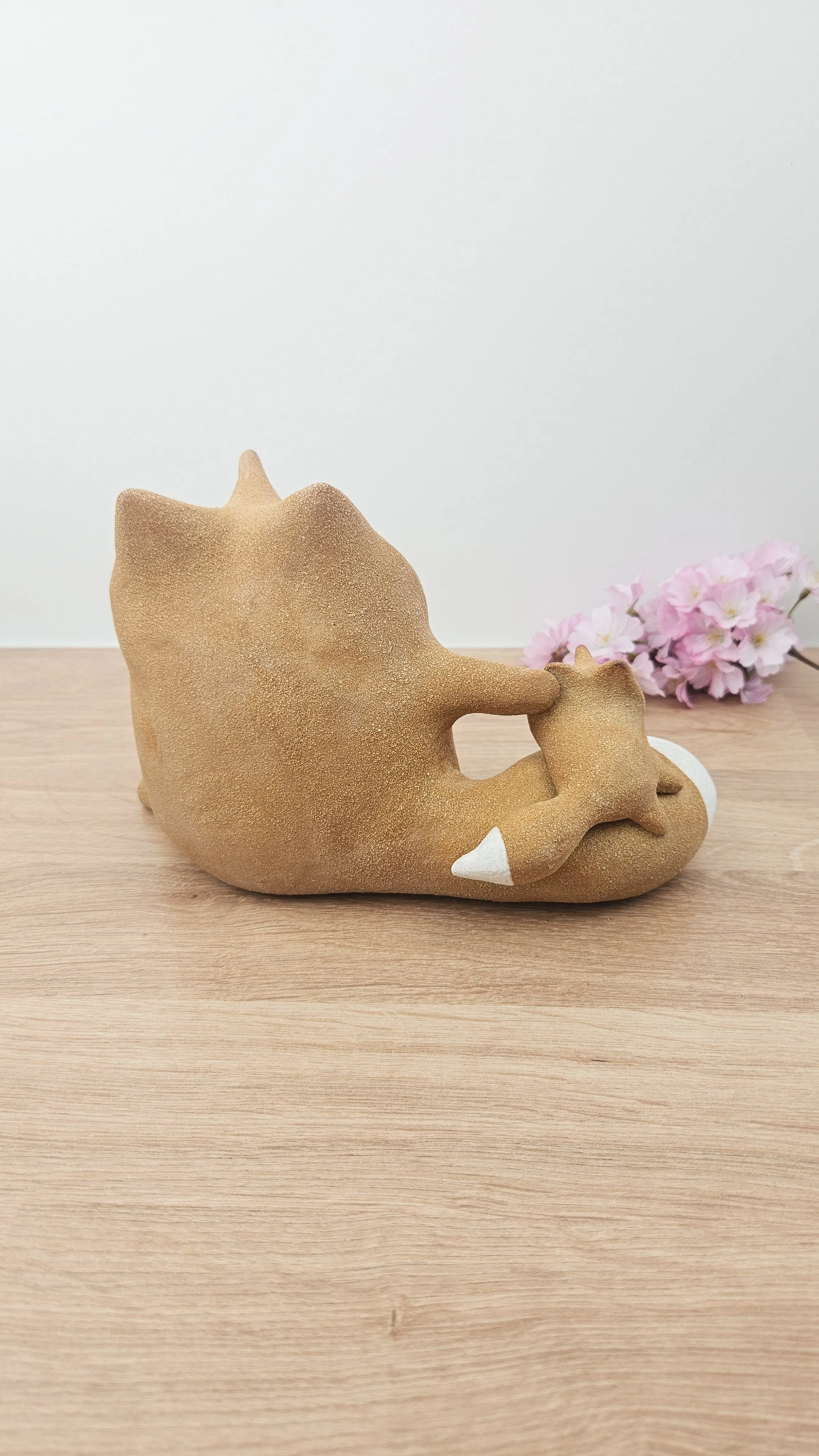 Papa Renard 20260318_144142.jpg