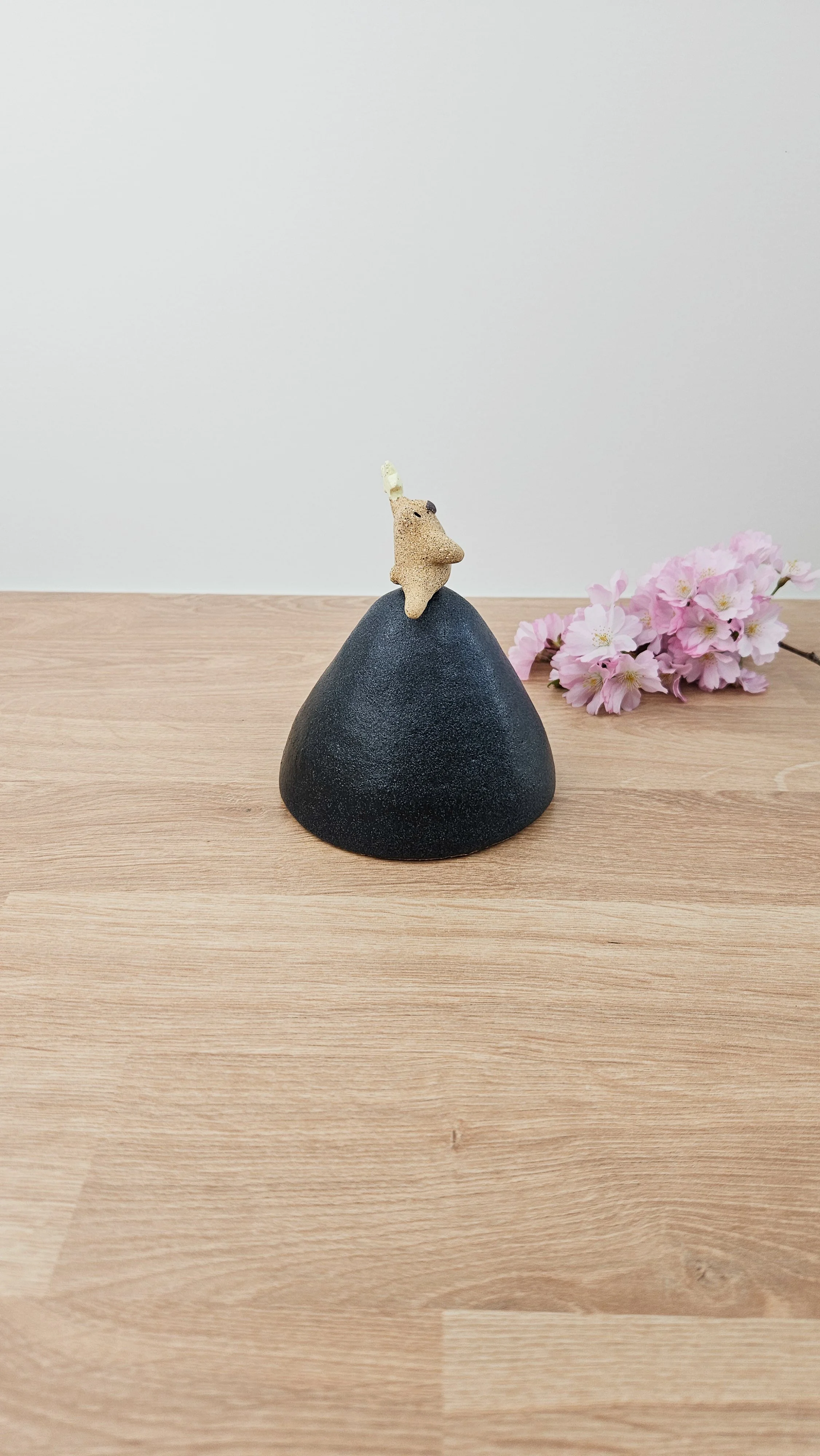 Danseur étoile 2 20260318_145253.jpg