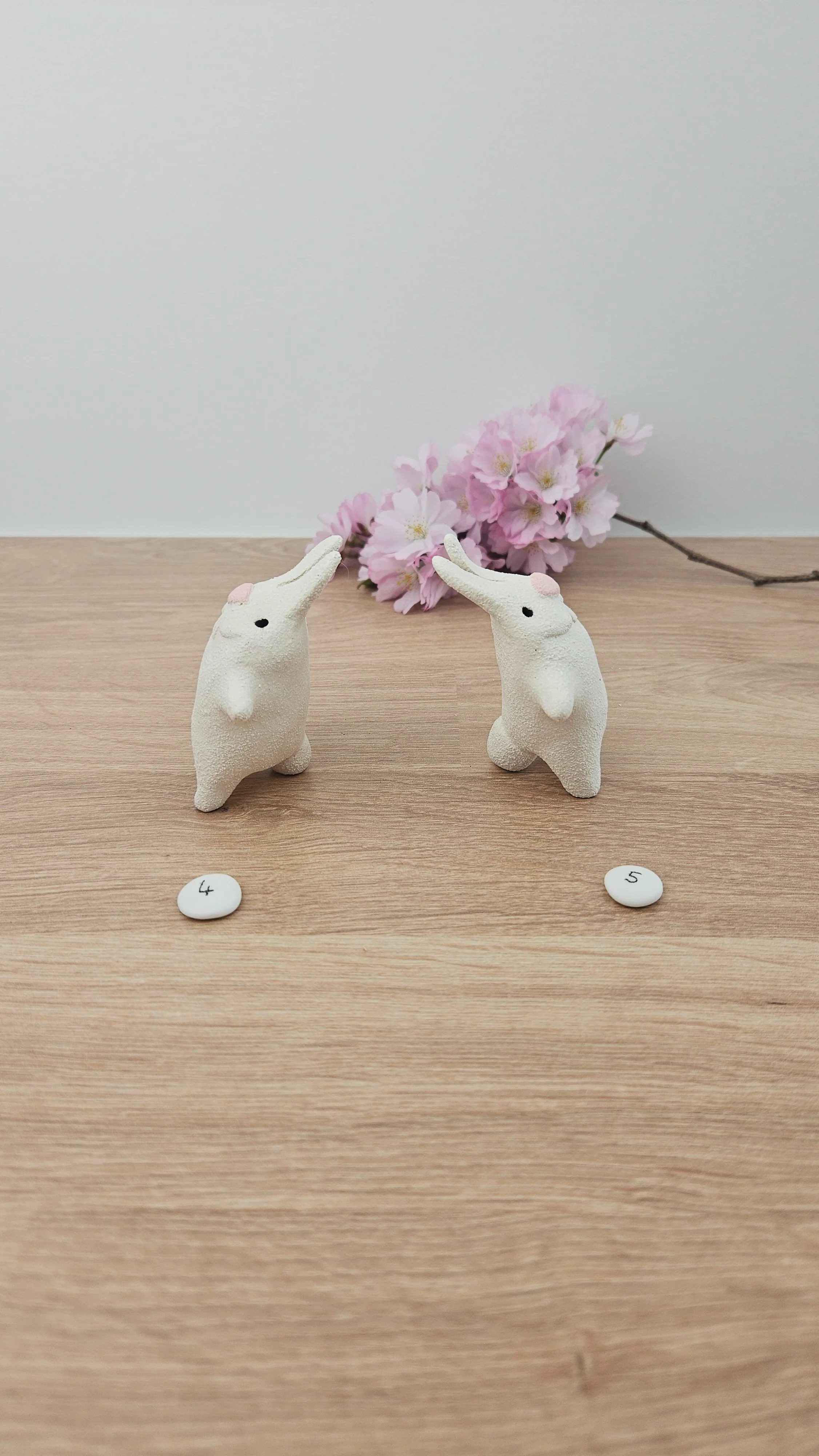 Mini Lapin20260318_141454.jpg