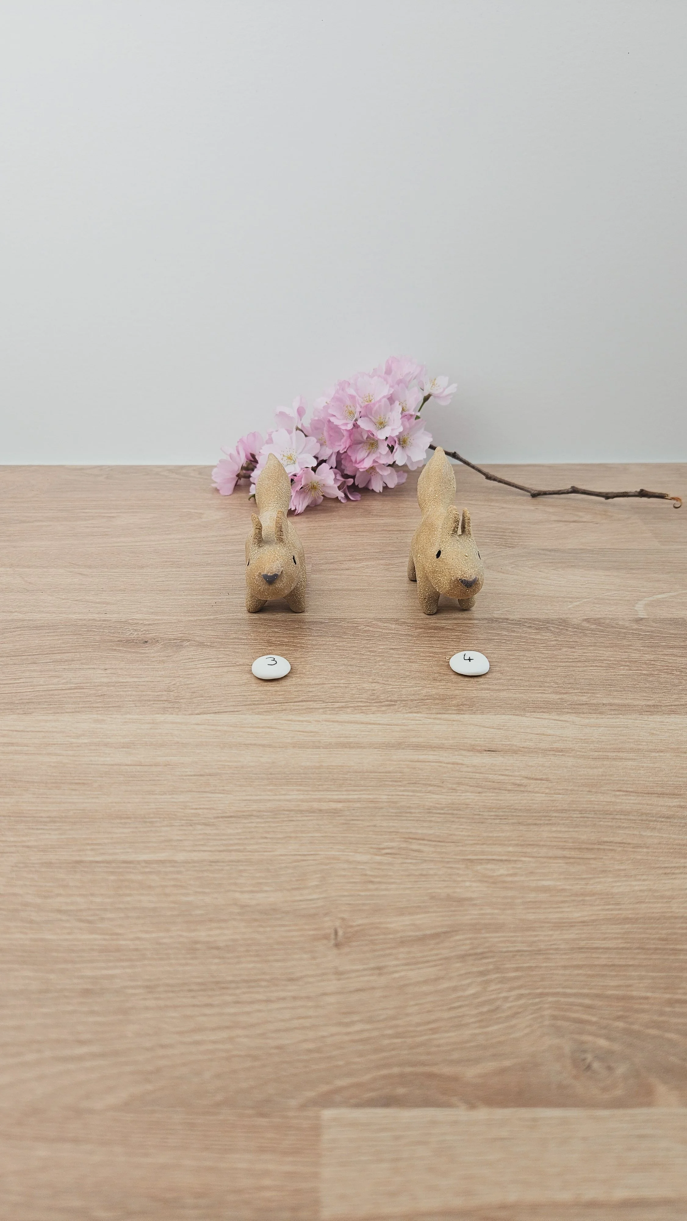 Mini Ecureuil 20260318_140225.jpg