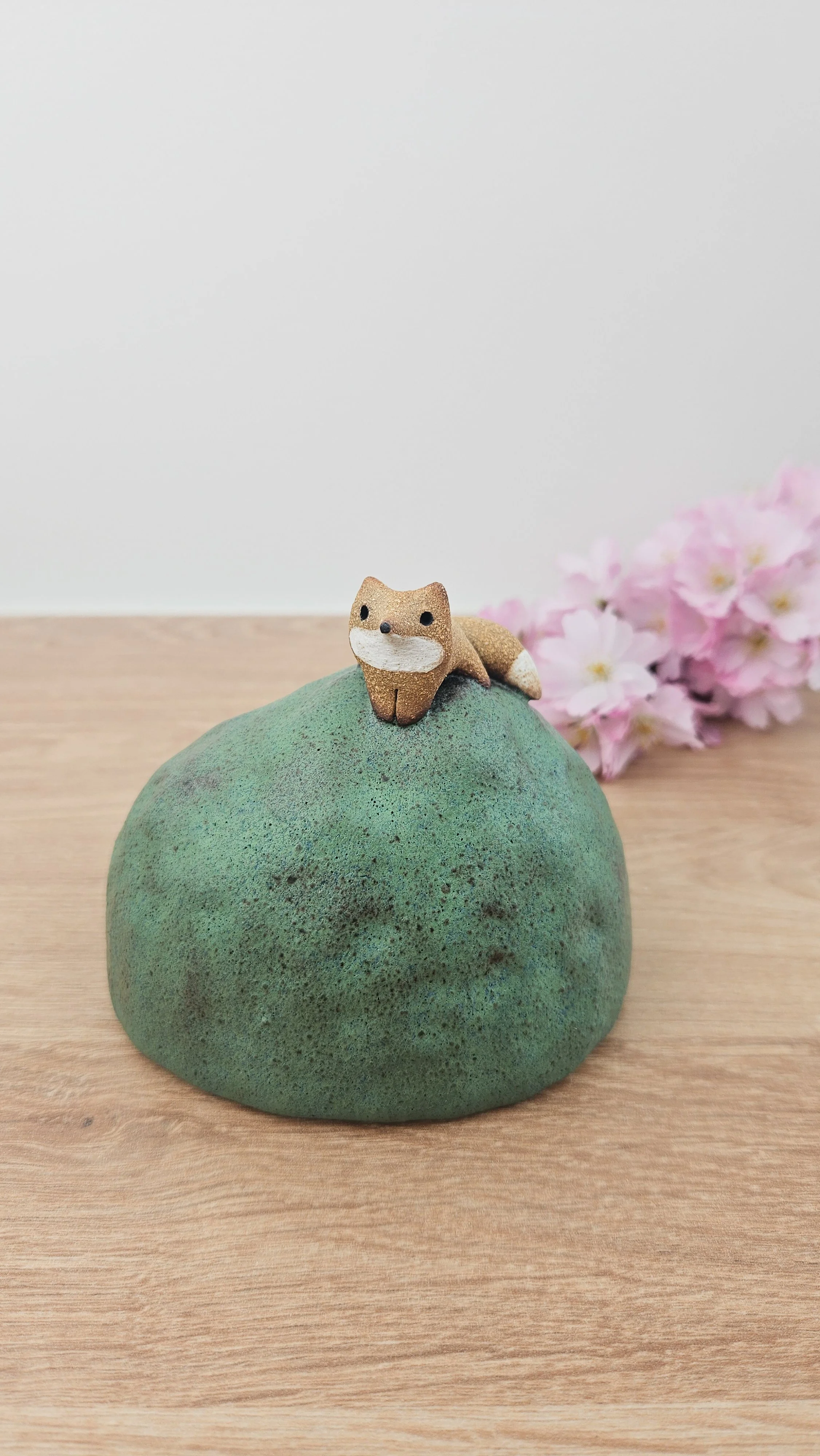 Colline Renard 1 20260318_142626.jpg