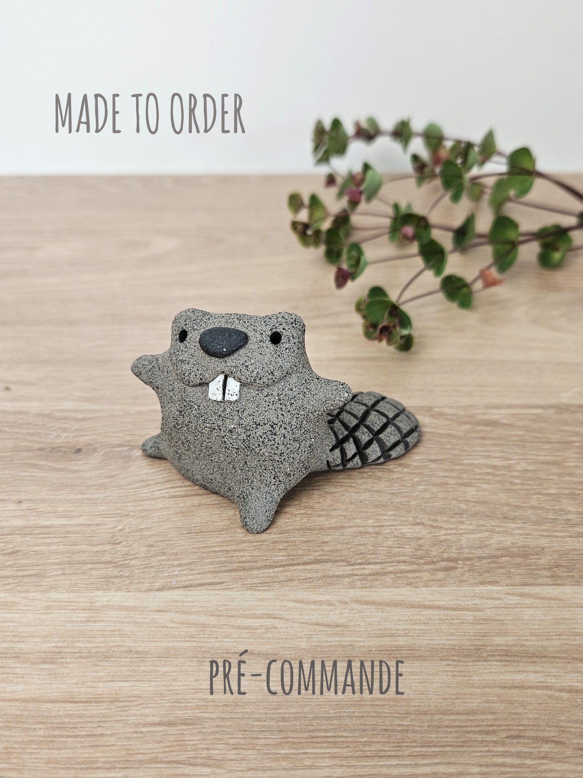Pré-commande / Mini +