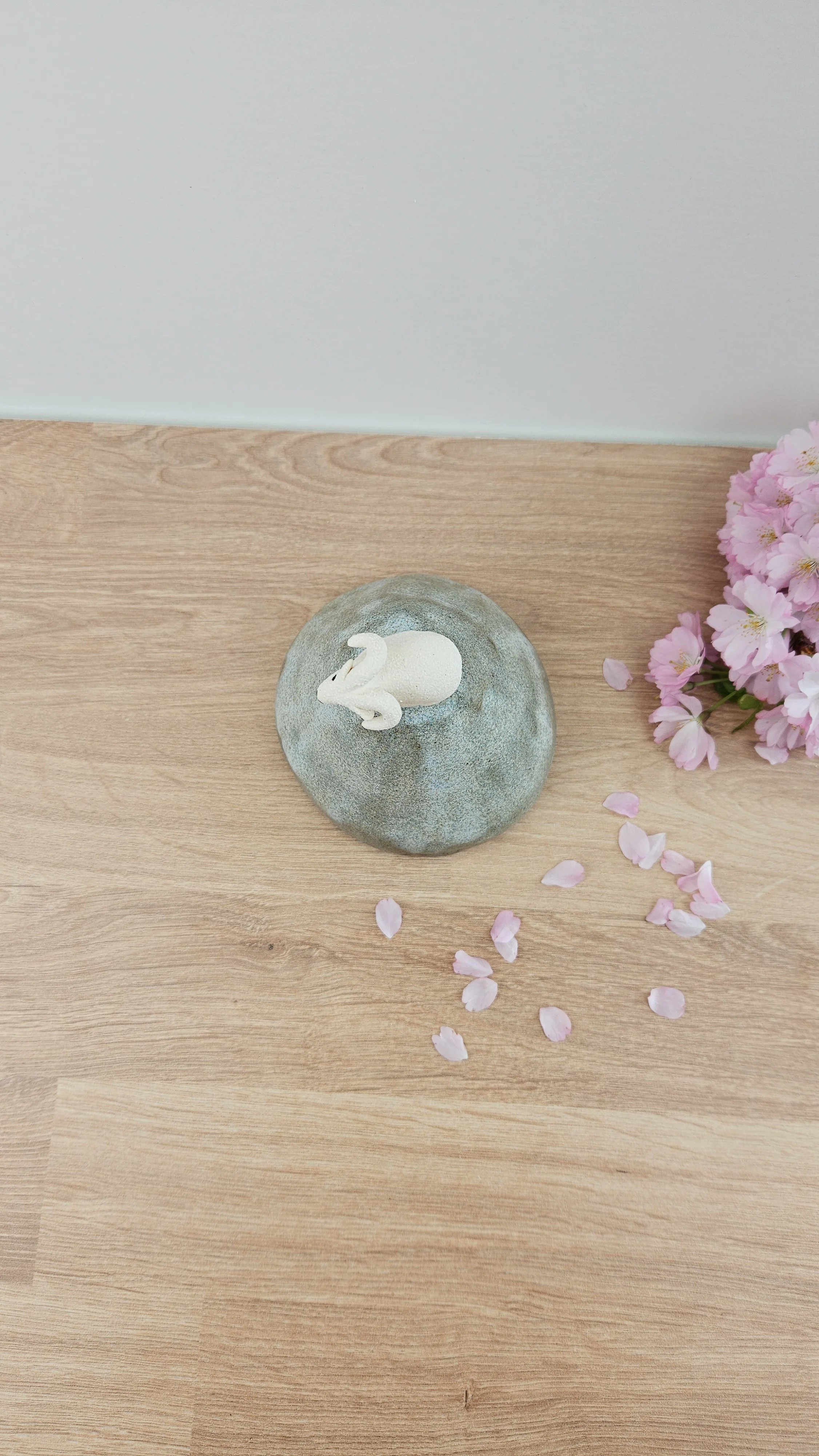 montagne Bouc 420260319_124049.jpg