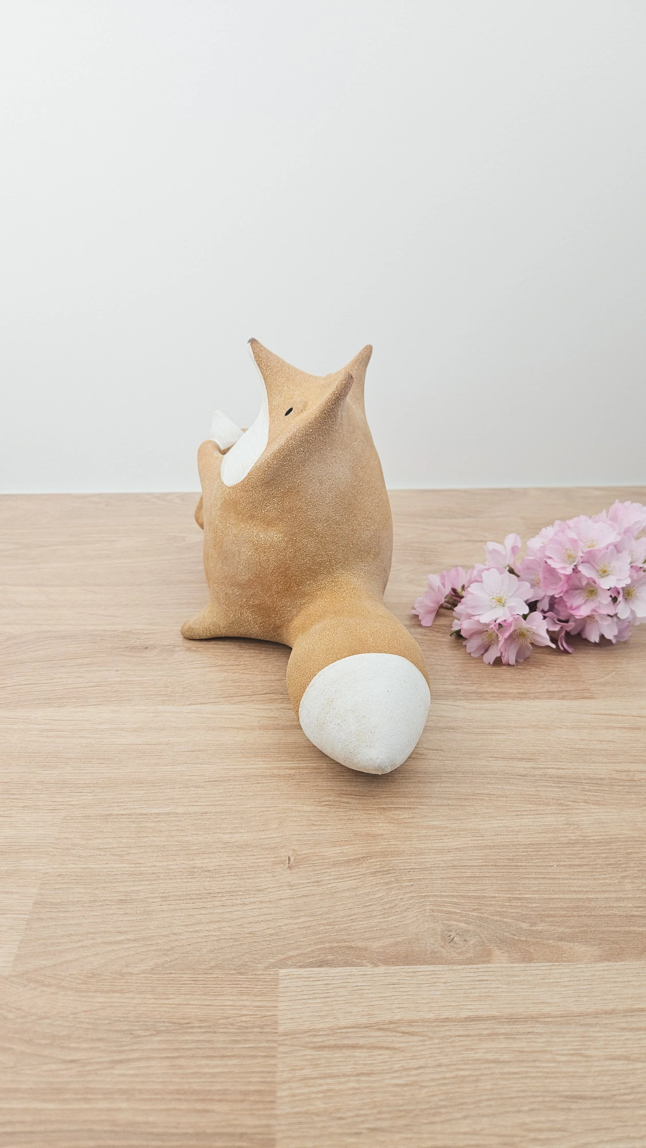 Maman Renard 20260318_144043.jpg