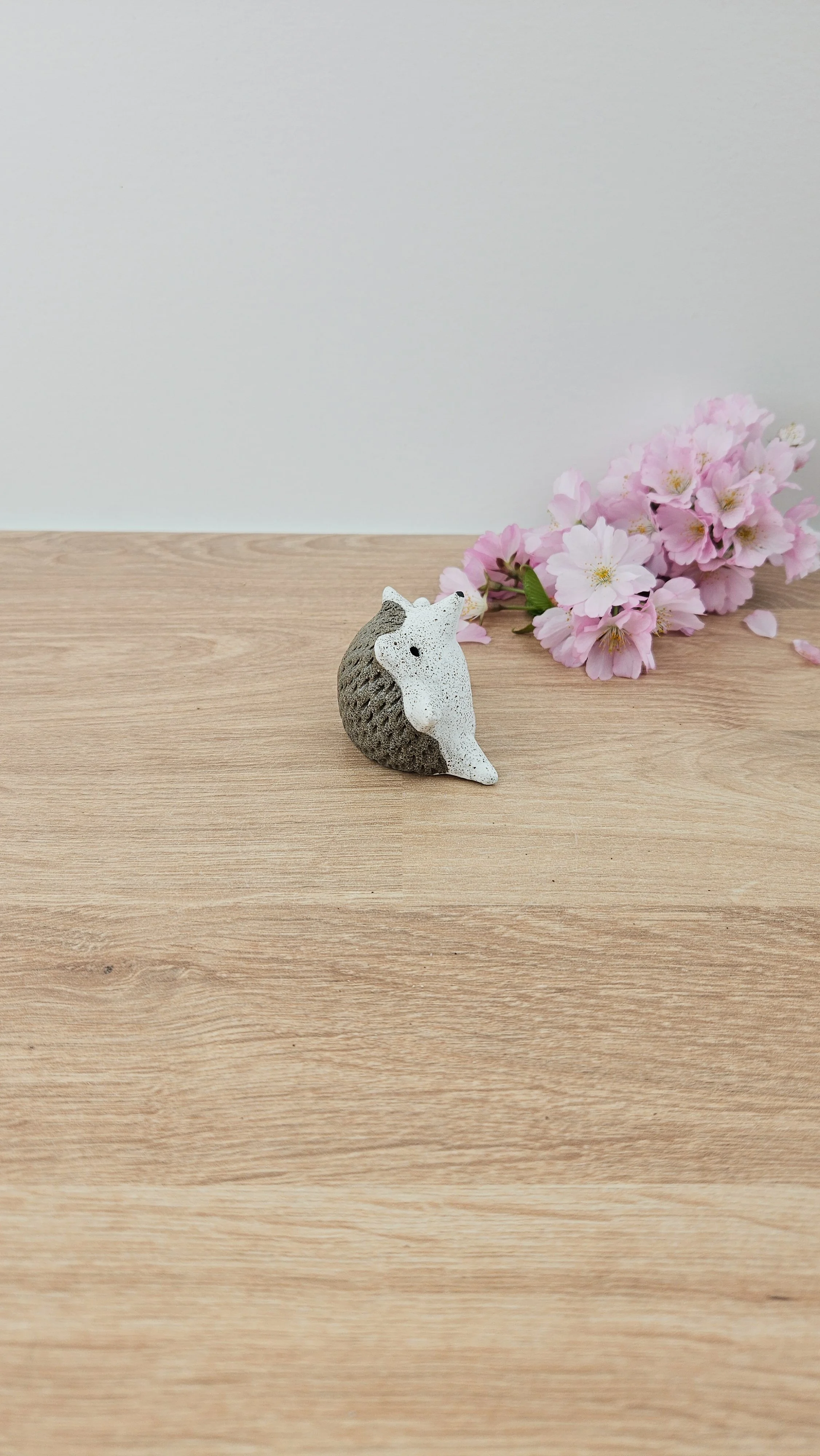 mini herisson 20260319_144500.jpg