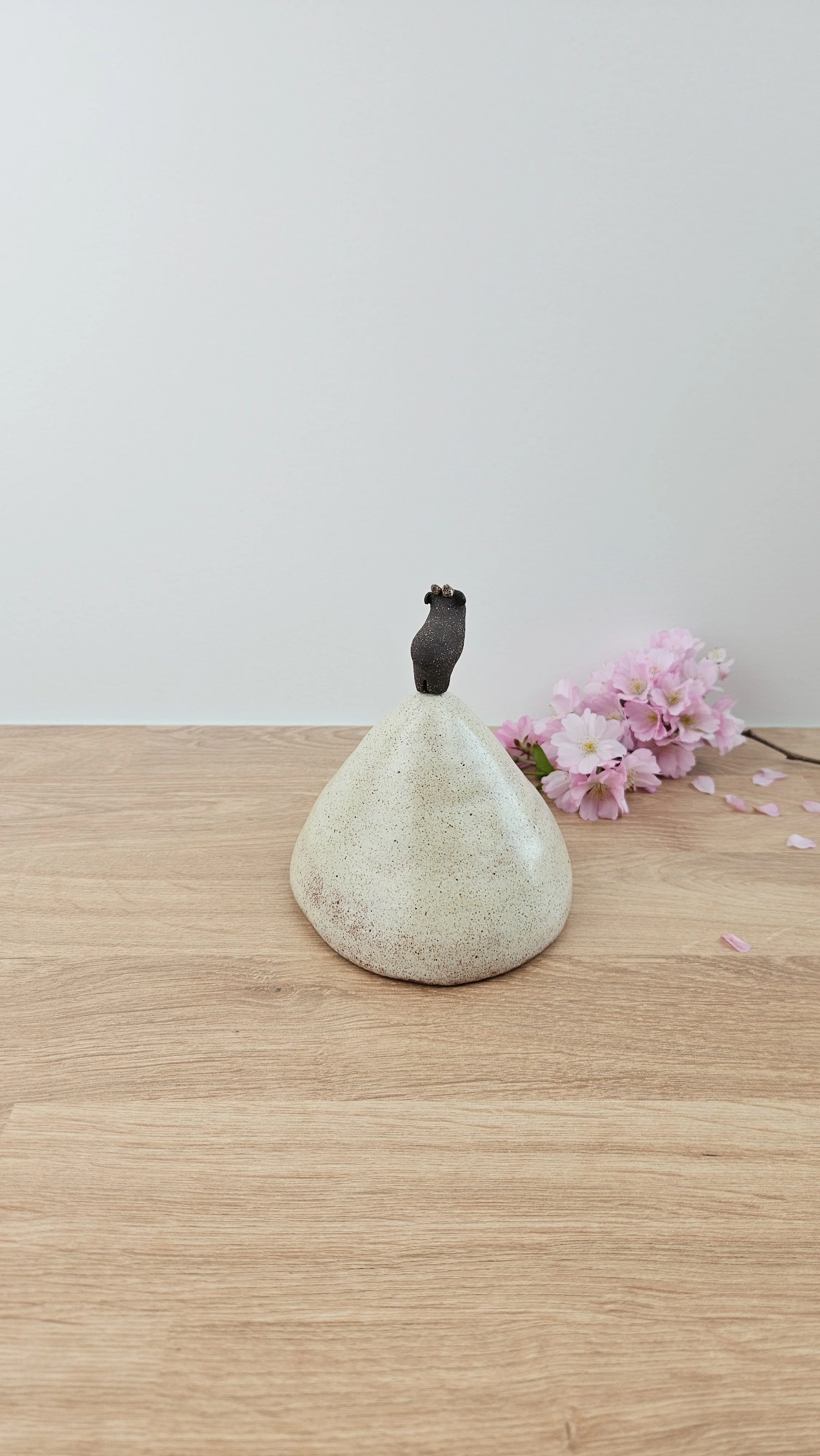 montagne biquette 320260319_142345.jpg