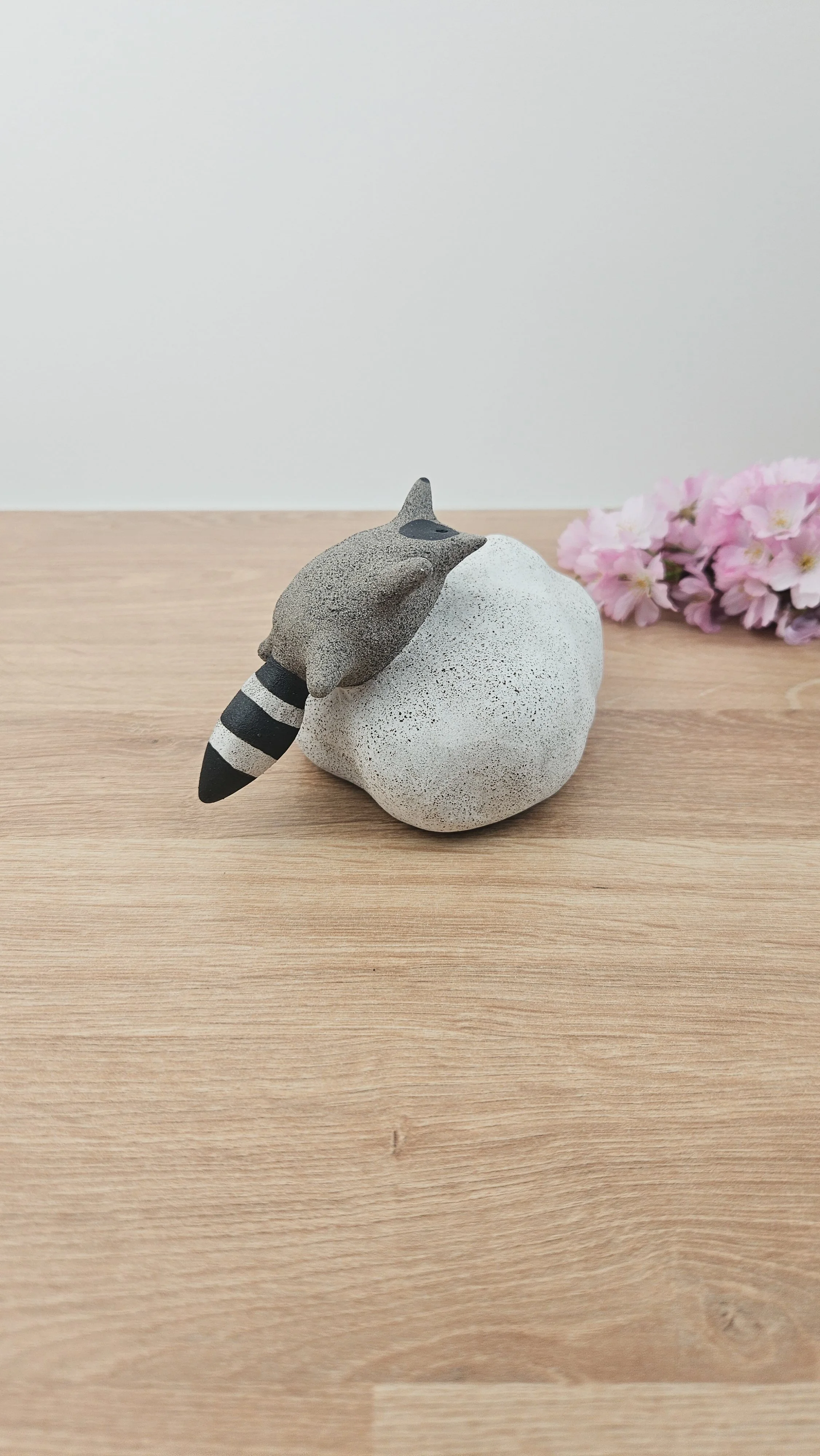 Raton Nuage 3 20260318_143513.jpg