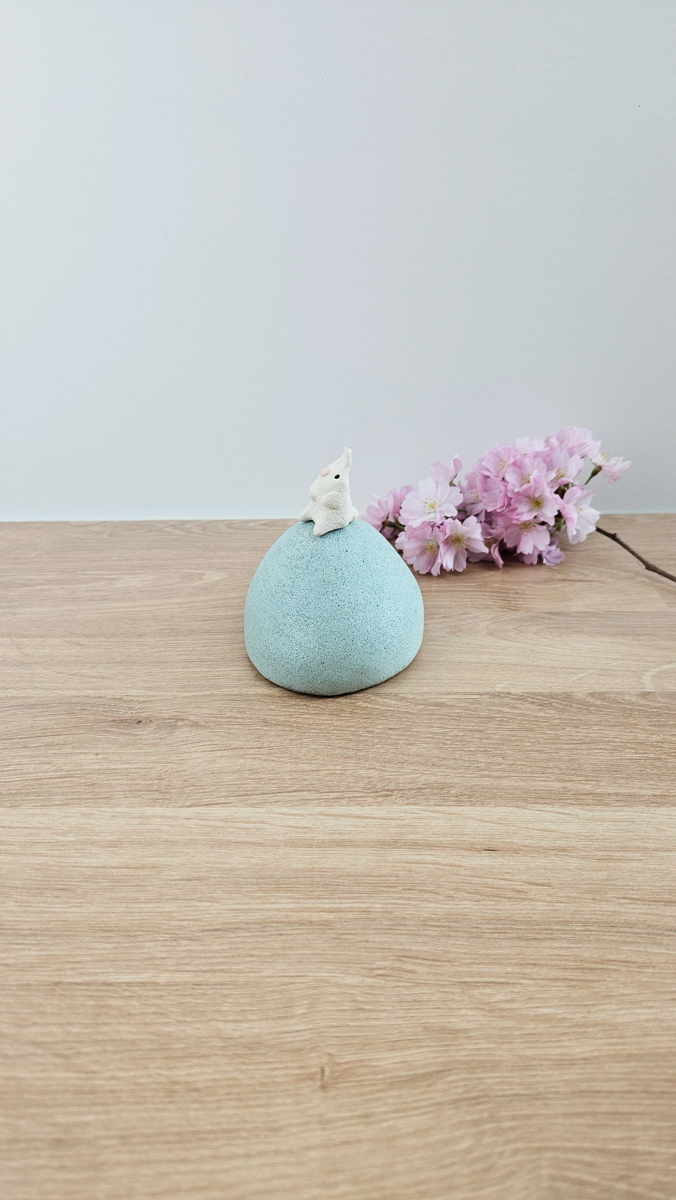 colline lapin 320260319_122248.jpg