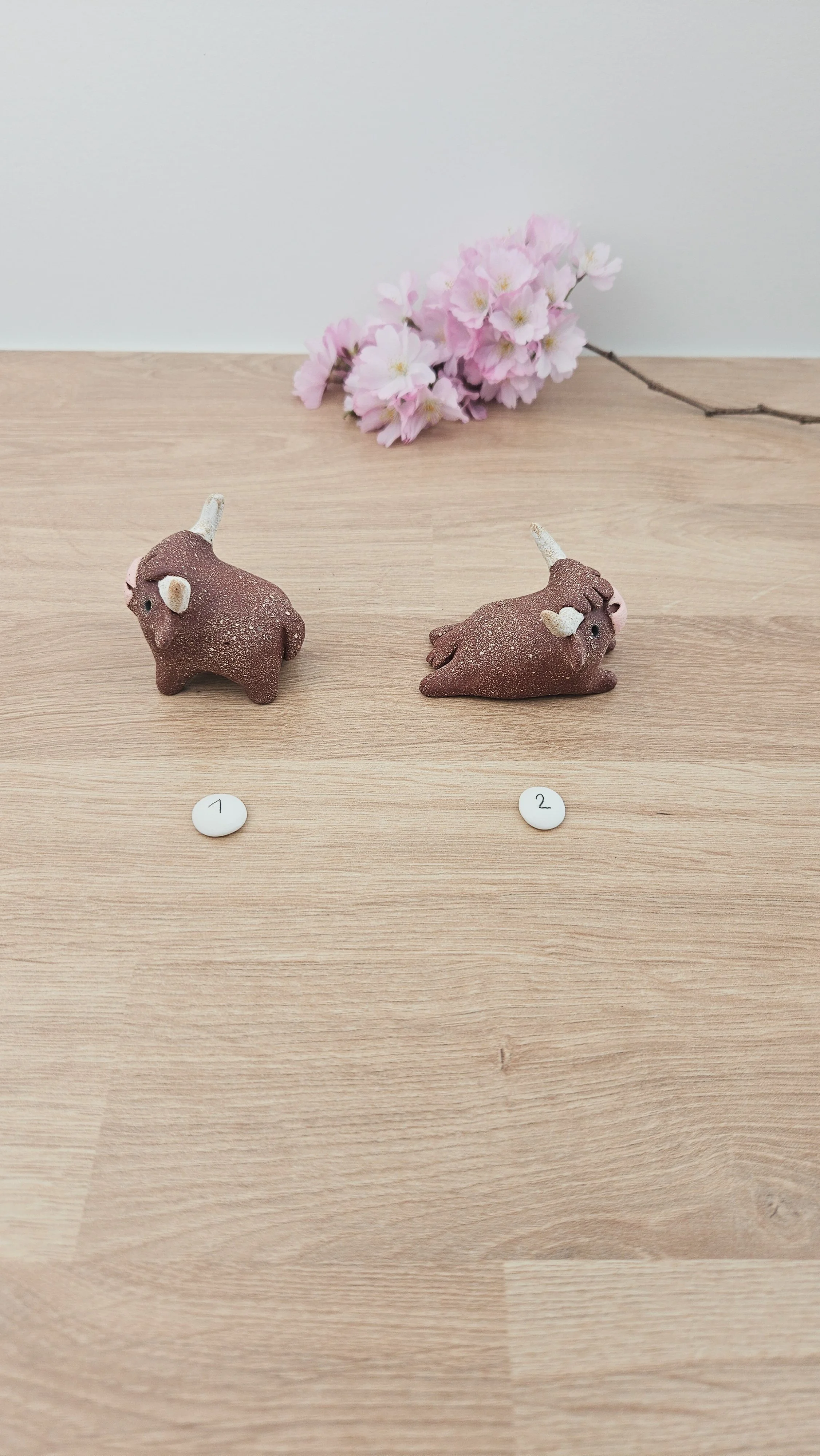 Mini Vache 20260318_140546.jpg