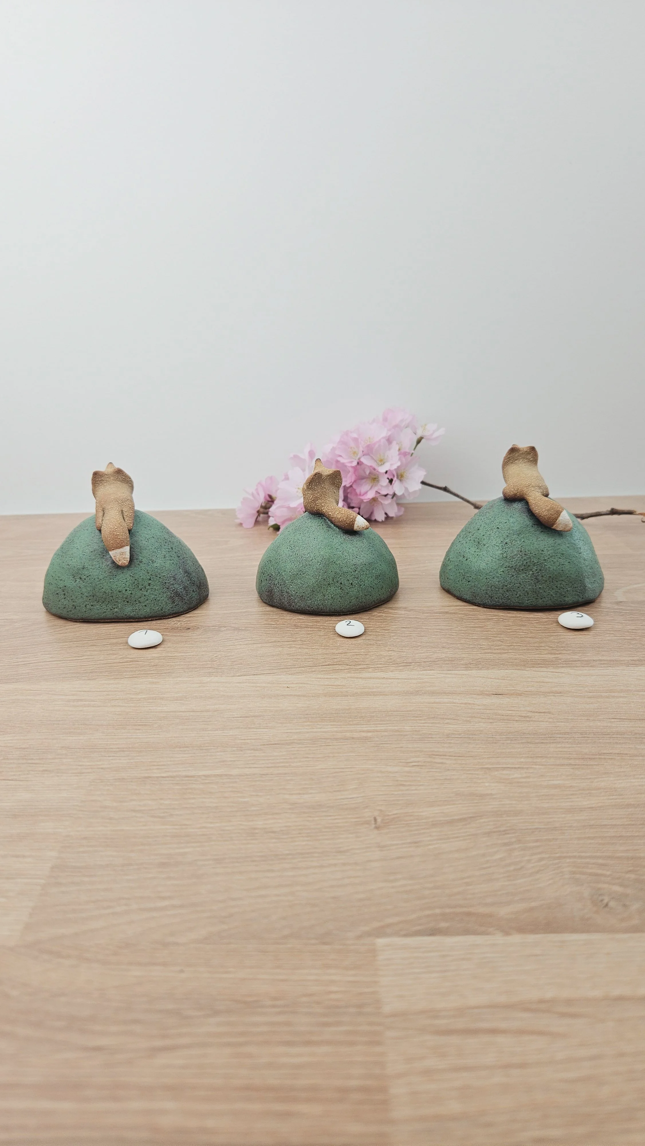 Mini colline renard20260318_142214.jpg