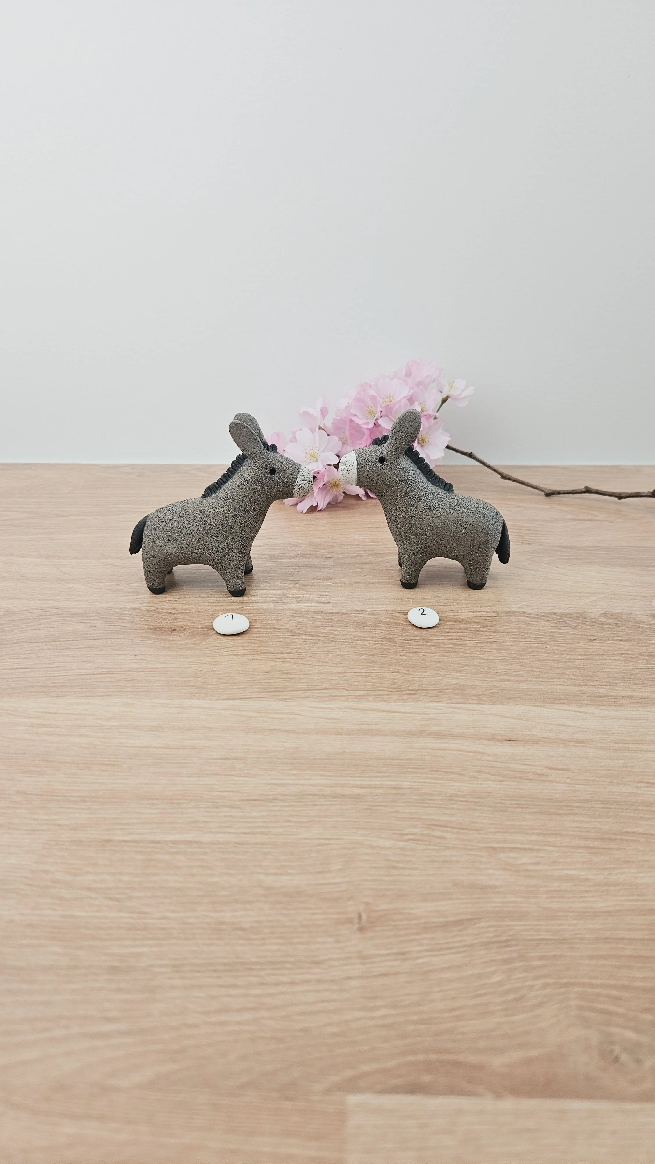 Mini Ane 20260318_134006.jpg