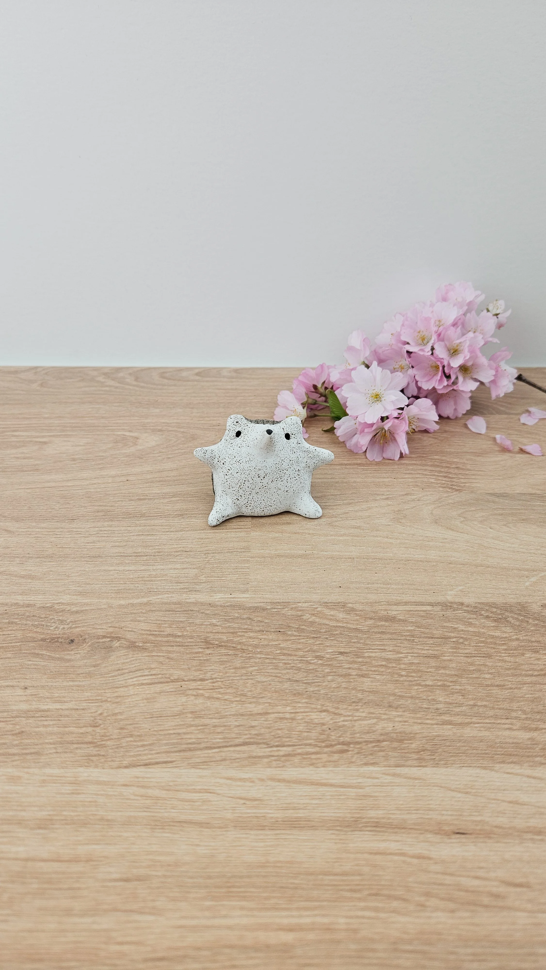 mini herisson 20260319_144456.jpg