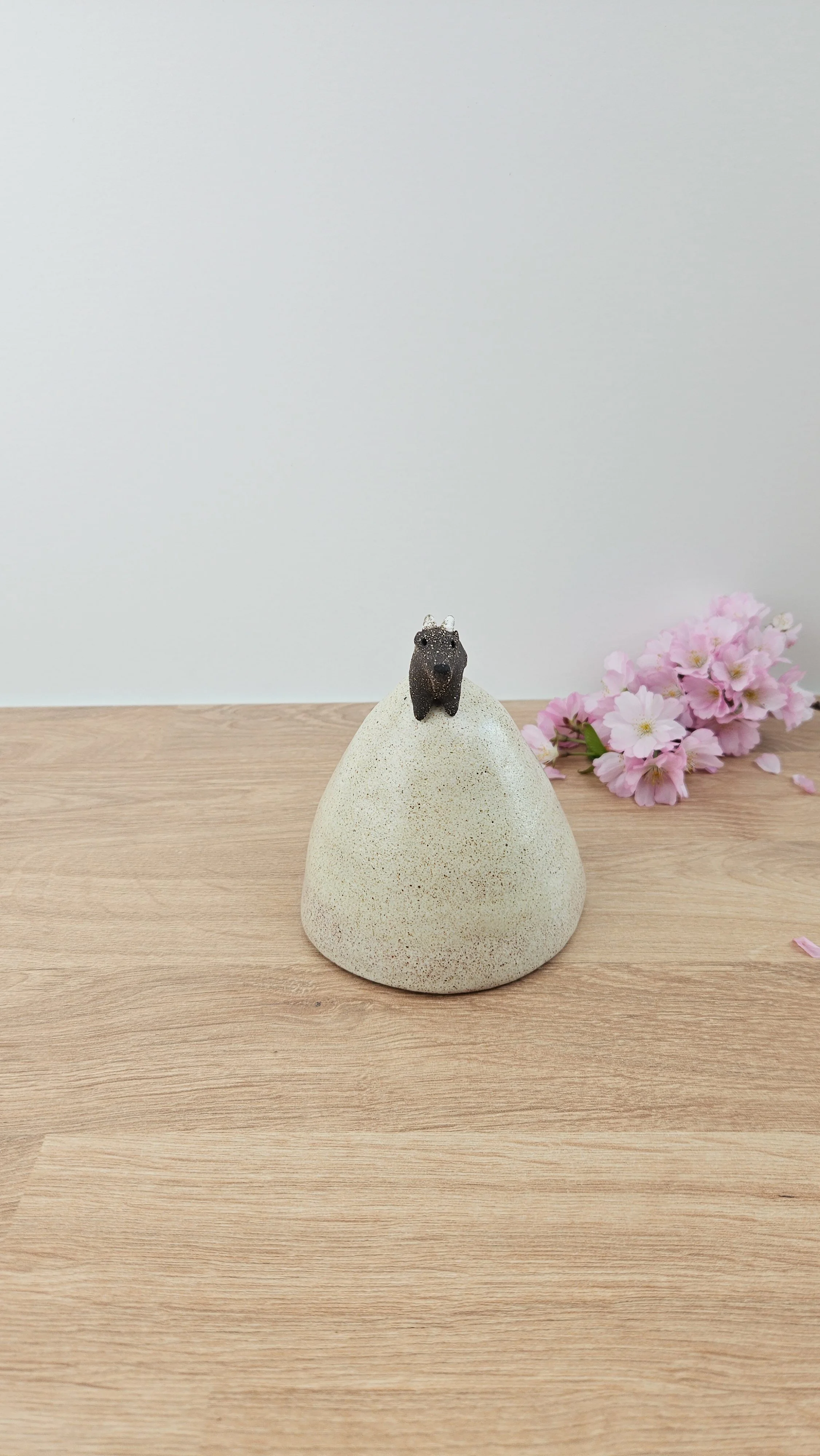 montagne biquette 220260319_142216.jpg