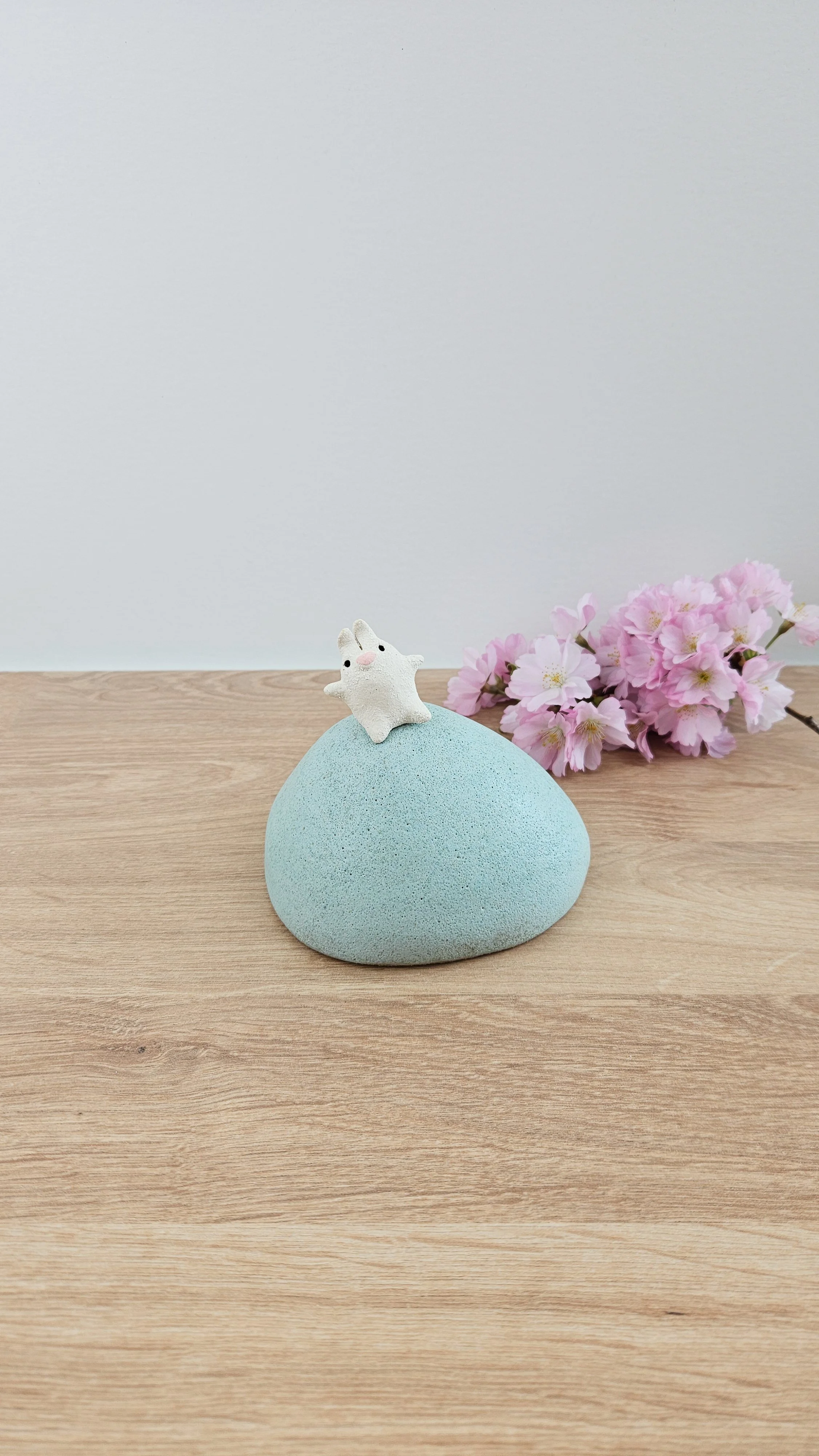 colline lapin 420260319_122353.jpg