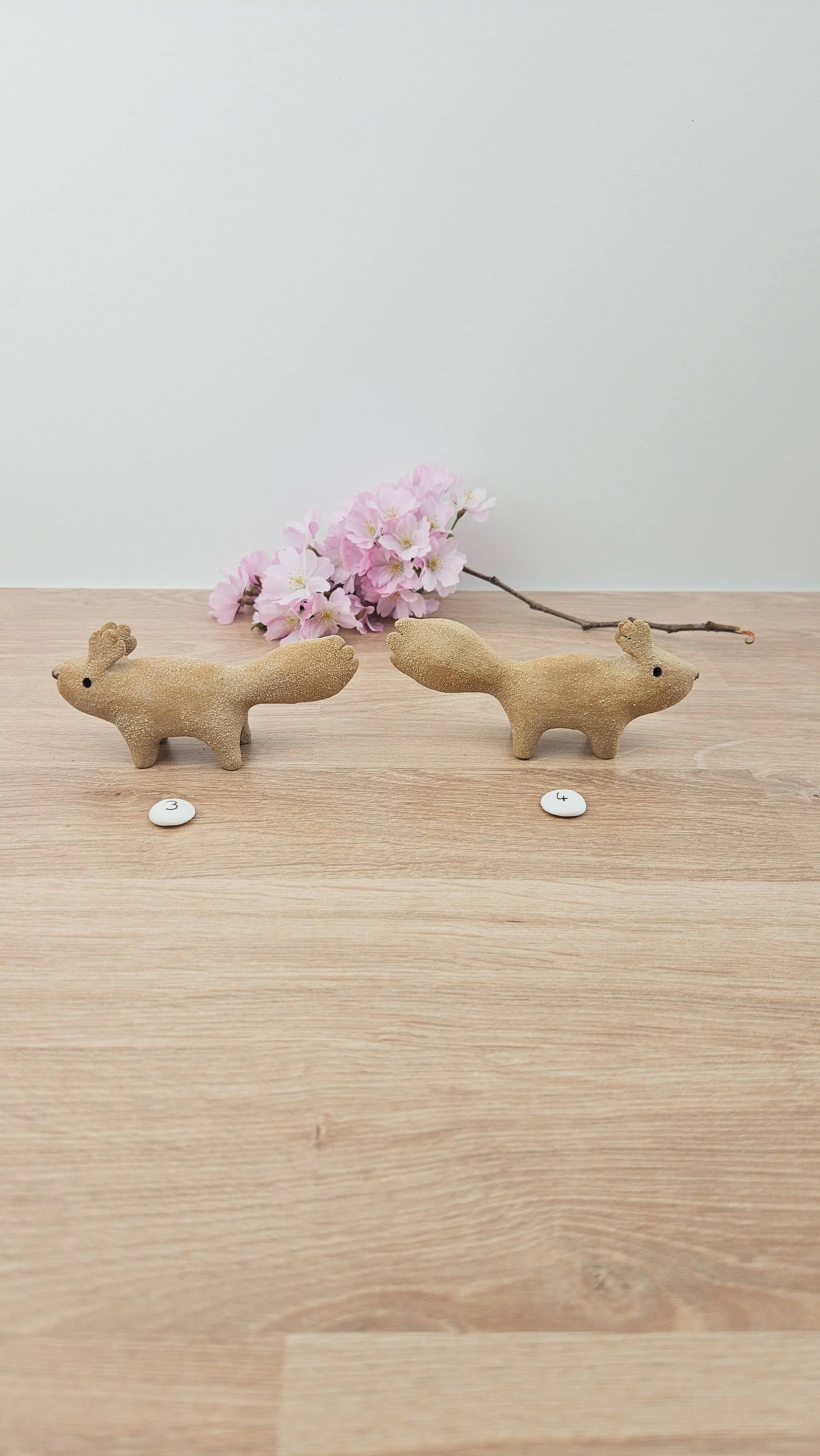 Mini Ecureuil 20260318_140234.jpg