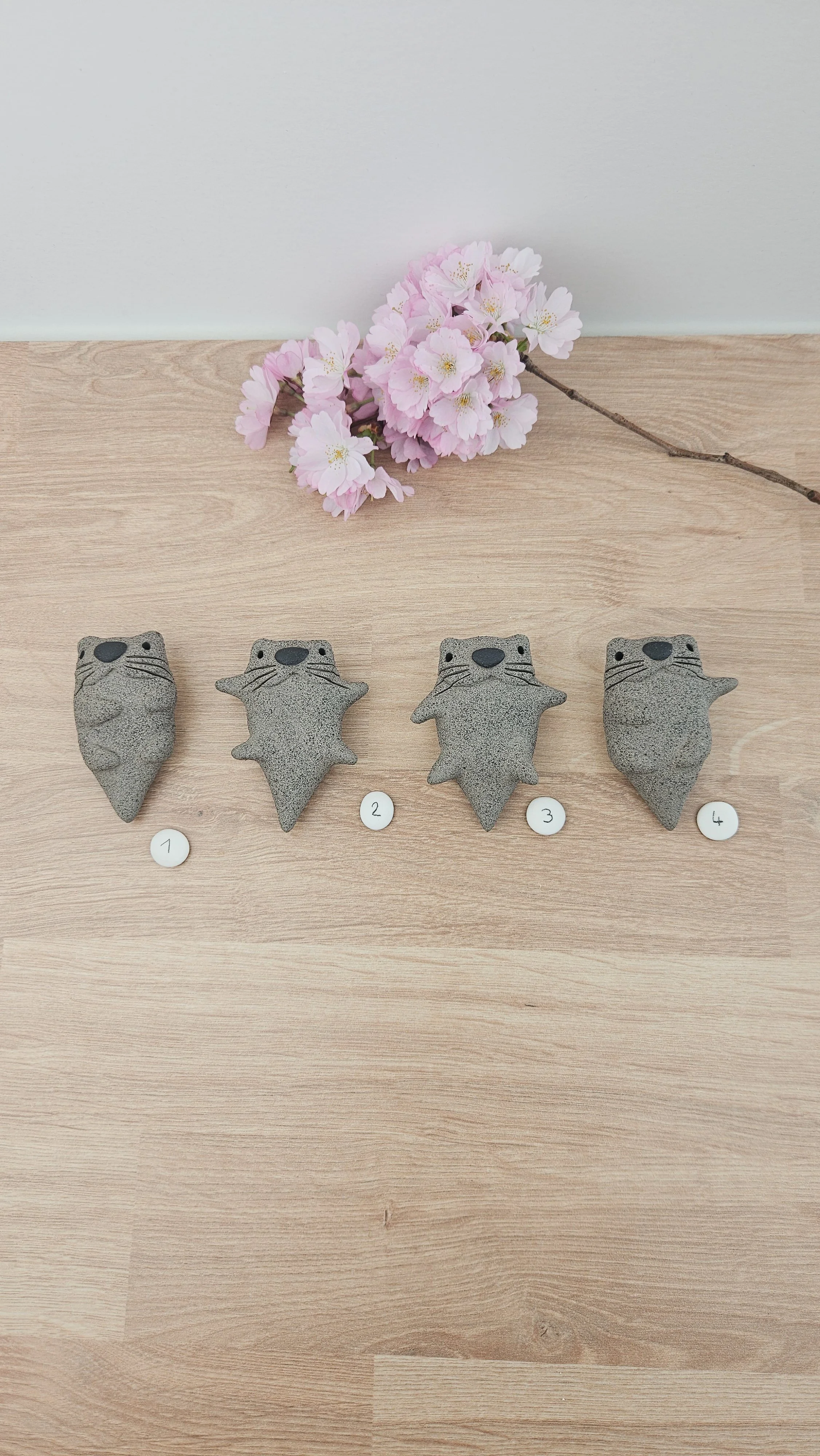 Mini Loutre 20260318_135314.jpg