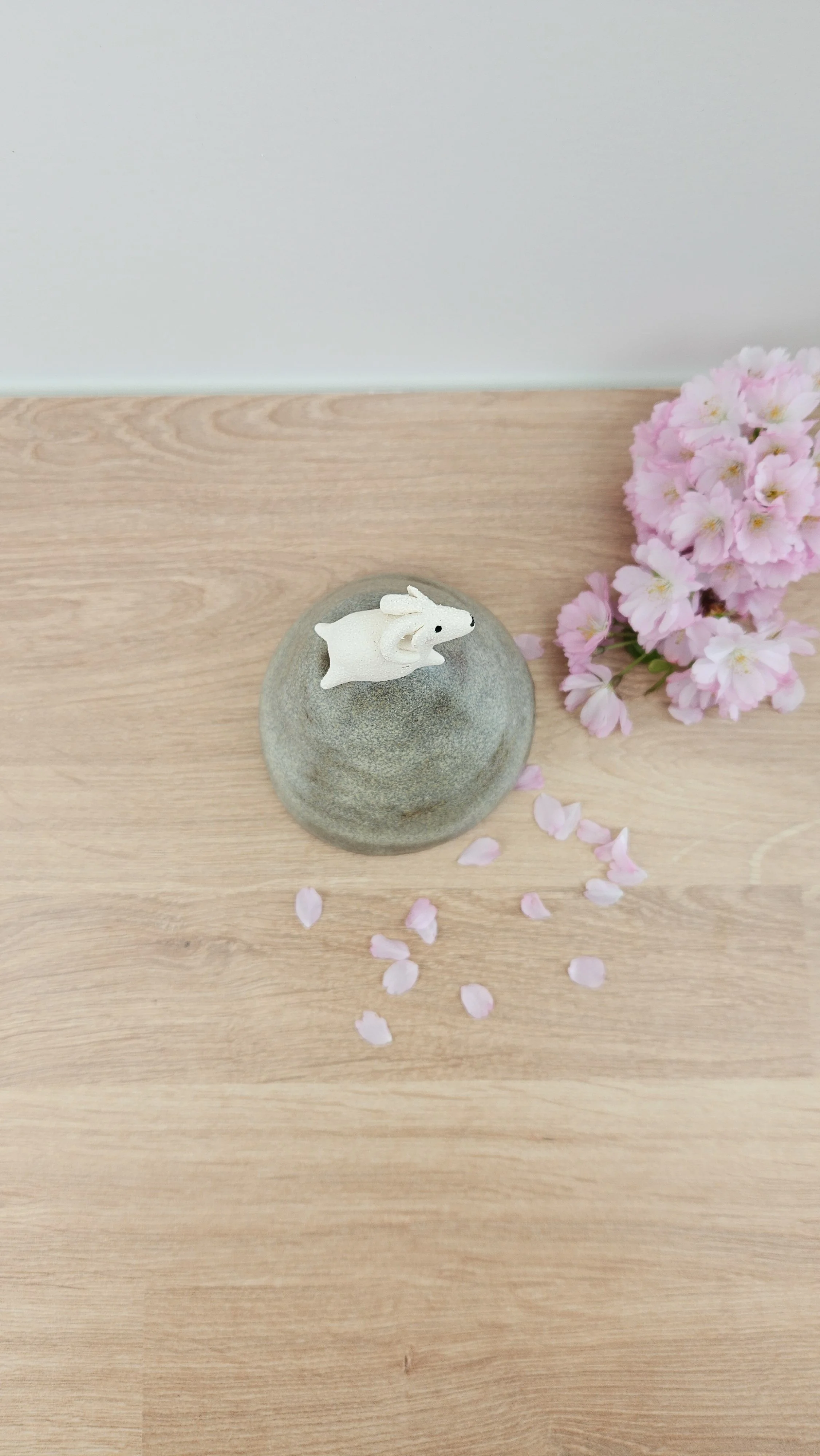 montagne Bouc 120260319_123745.jpg