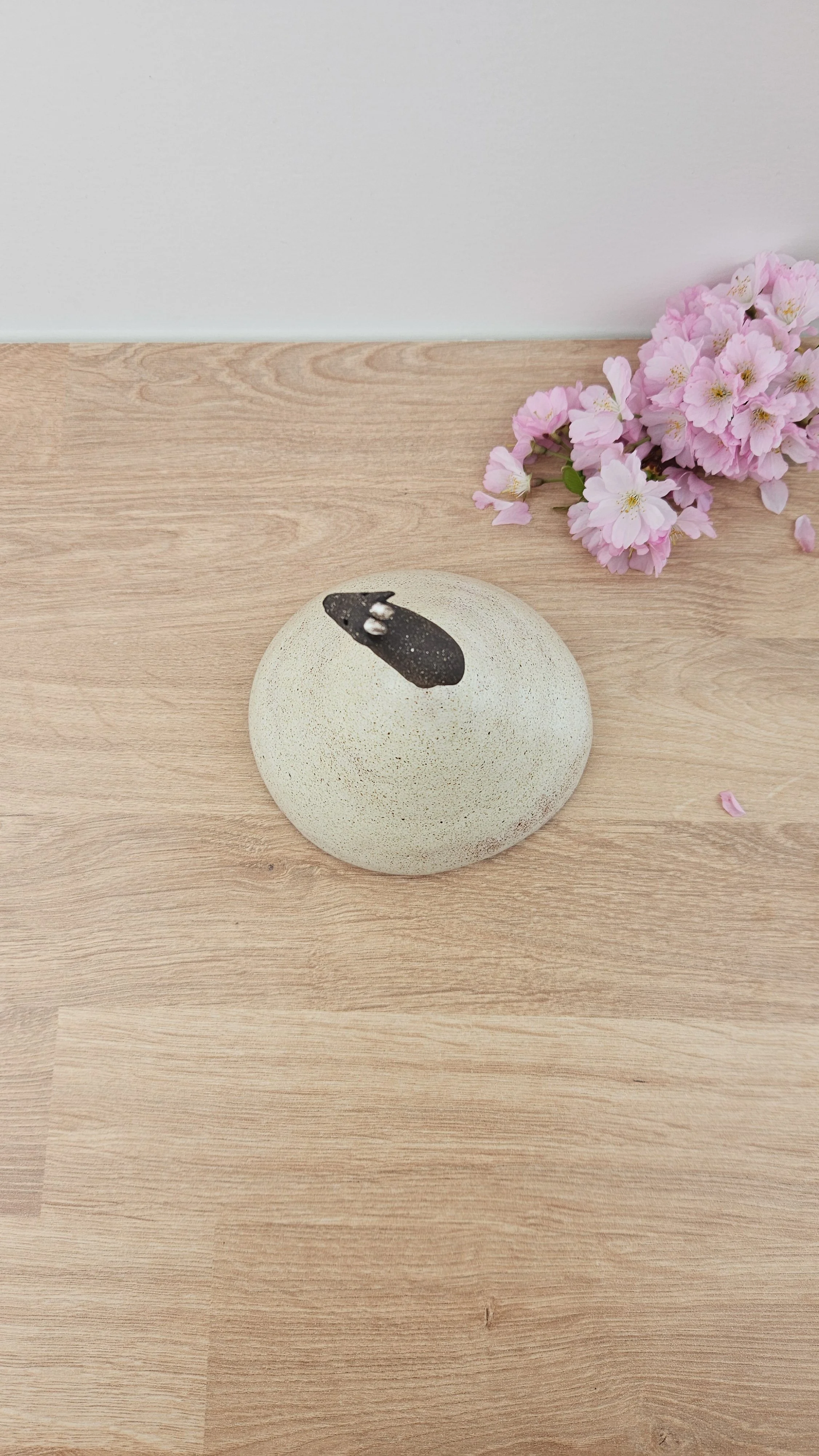 montagne biquette 320260319_142349.jpg