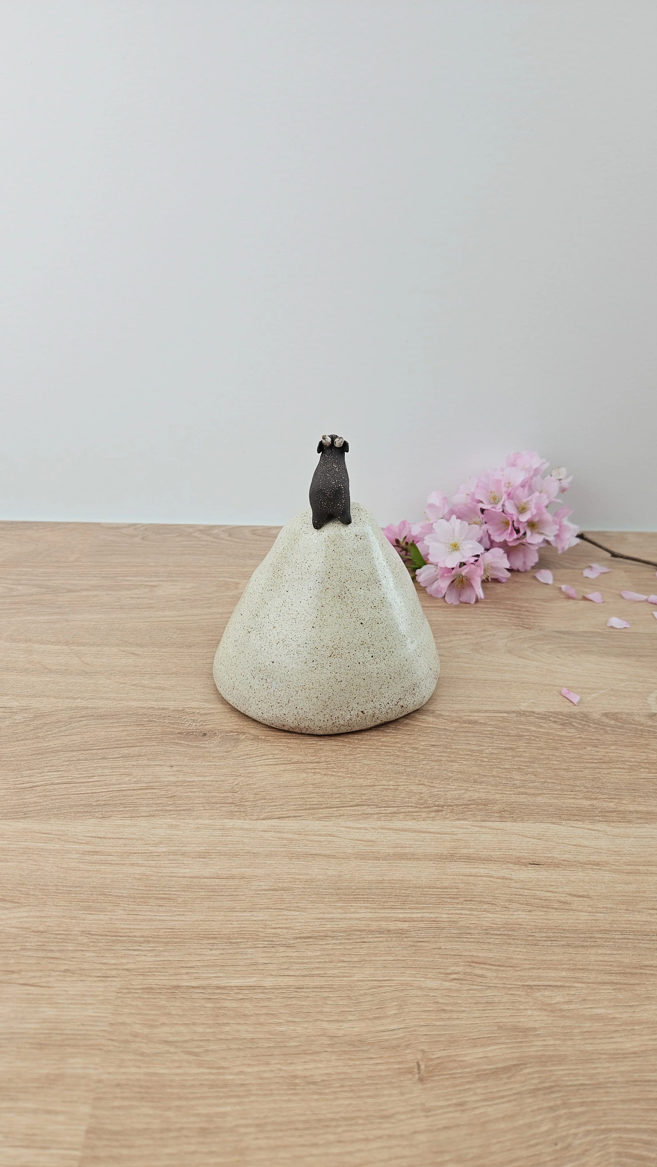 montagne biquette 420260319_142456.jpg