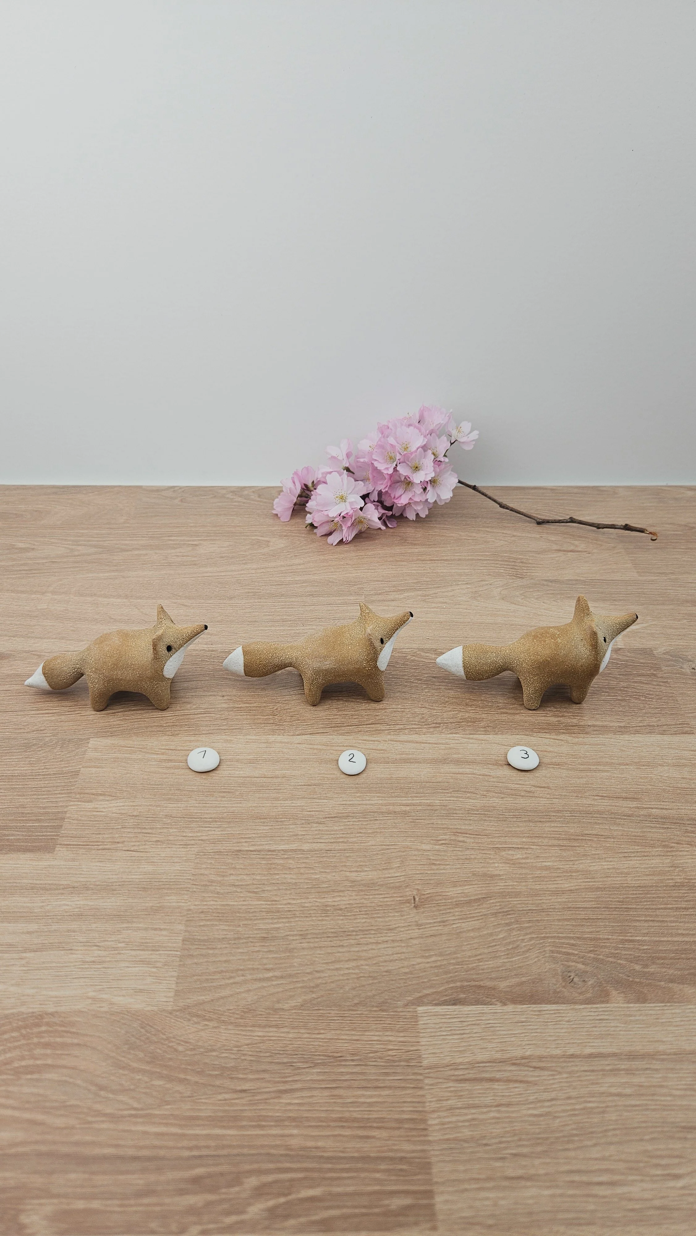 Mini Renard 20260318_140956.jpg