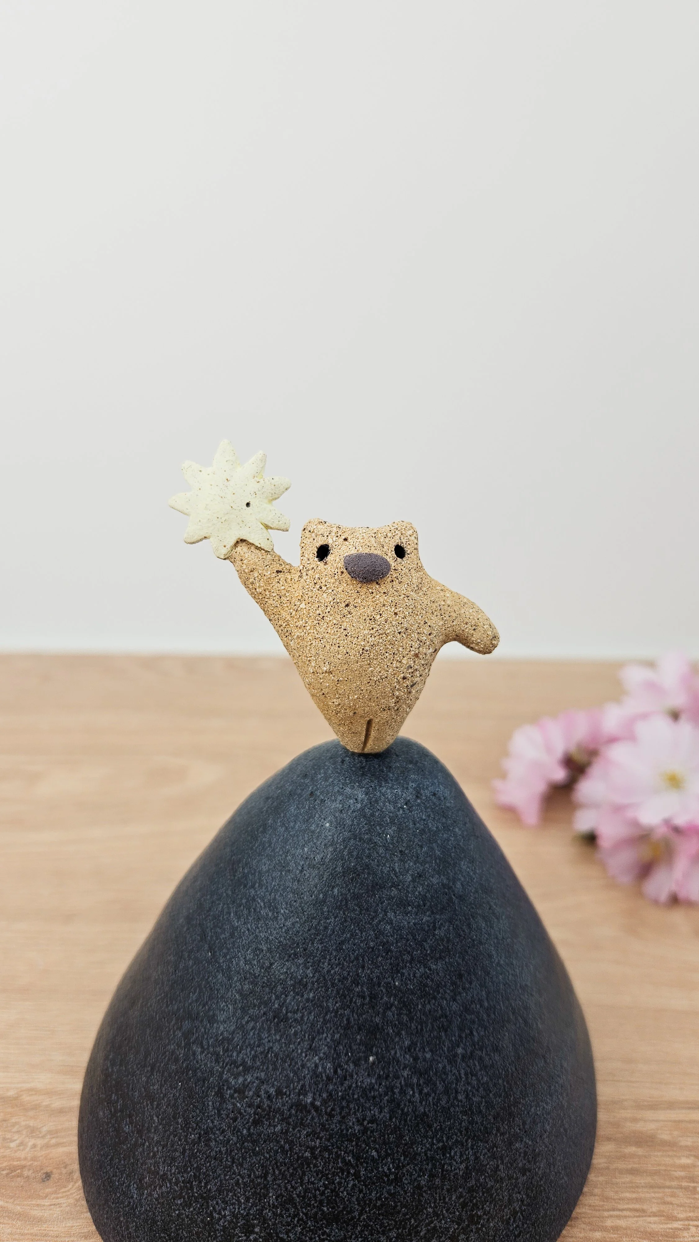 Danseur étoile 3 20260318_145341.jpg