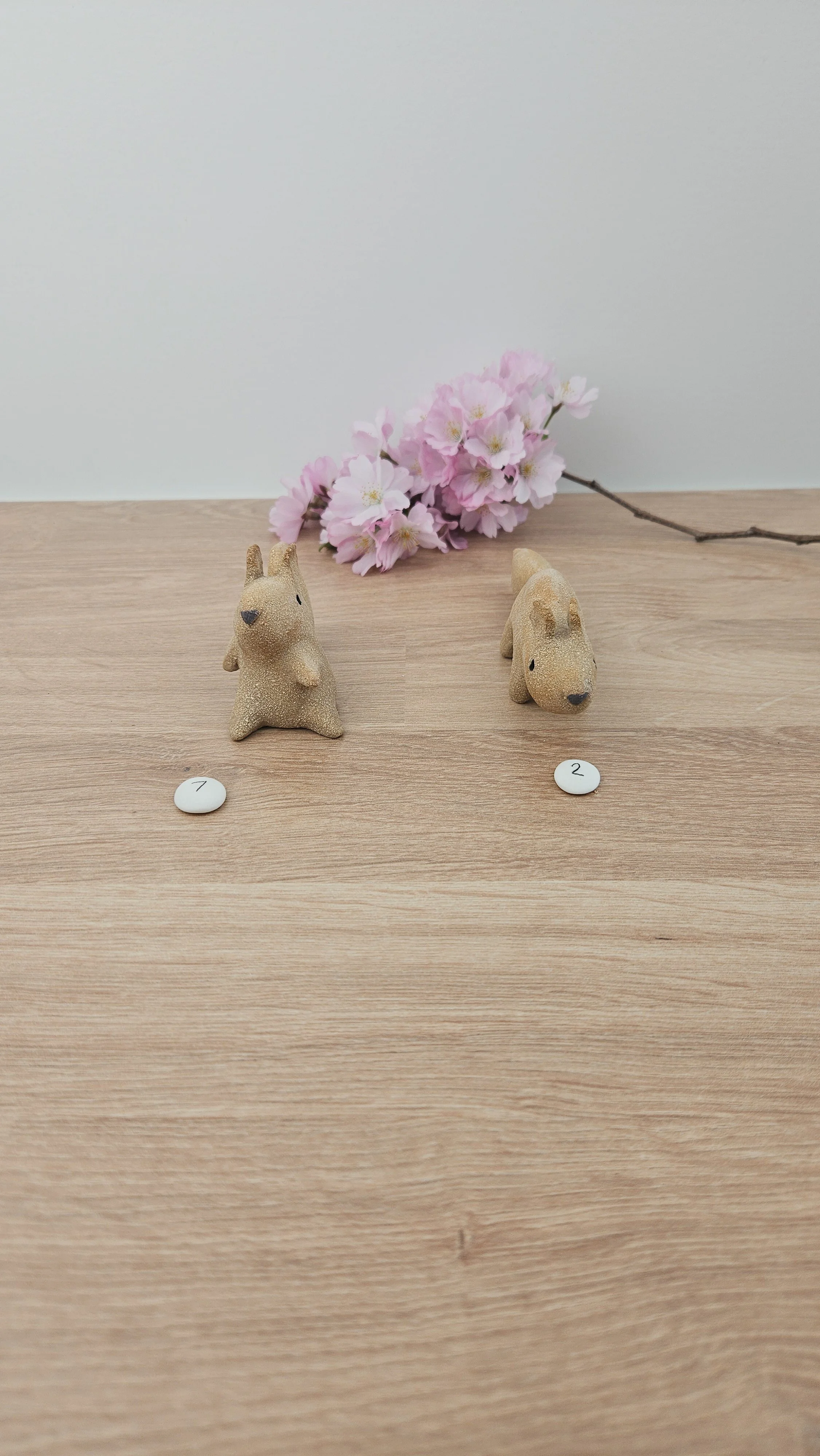 Mini Ecureuil 20260318_140049.jpg