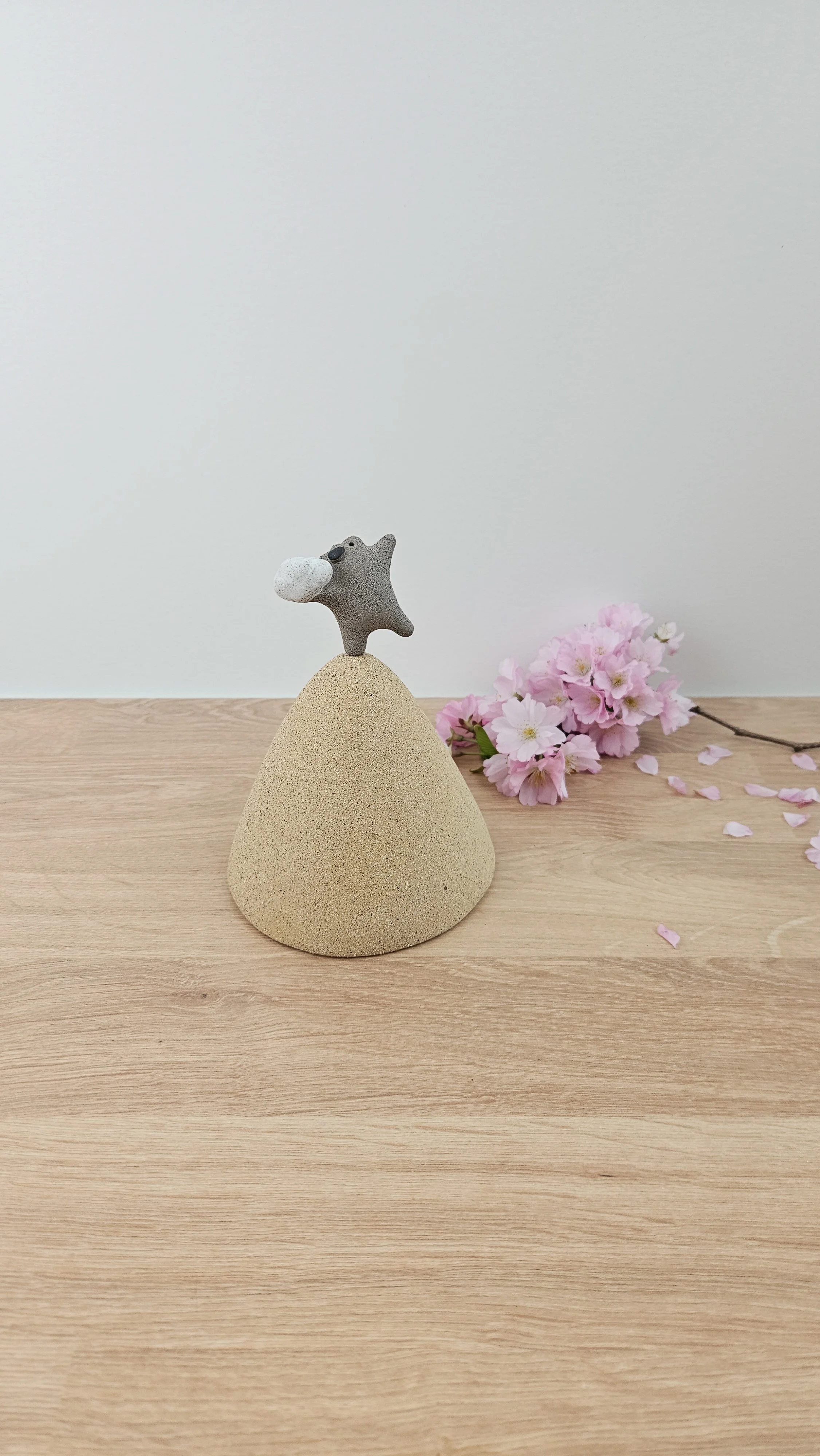 montagne nuage 720260319_142704.jpg