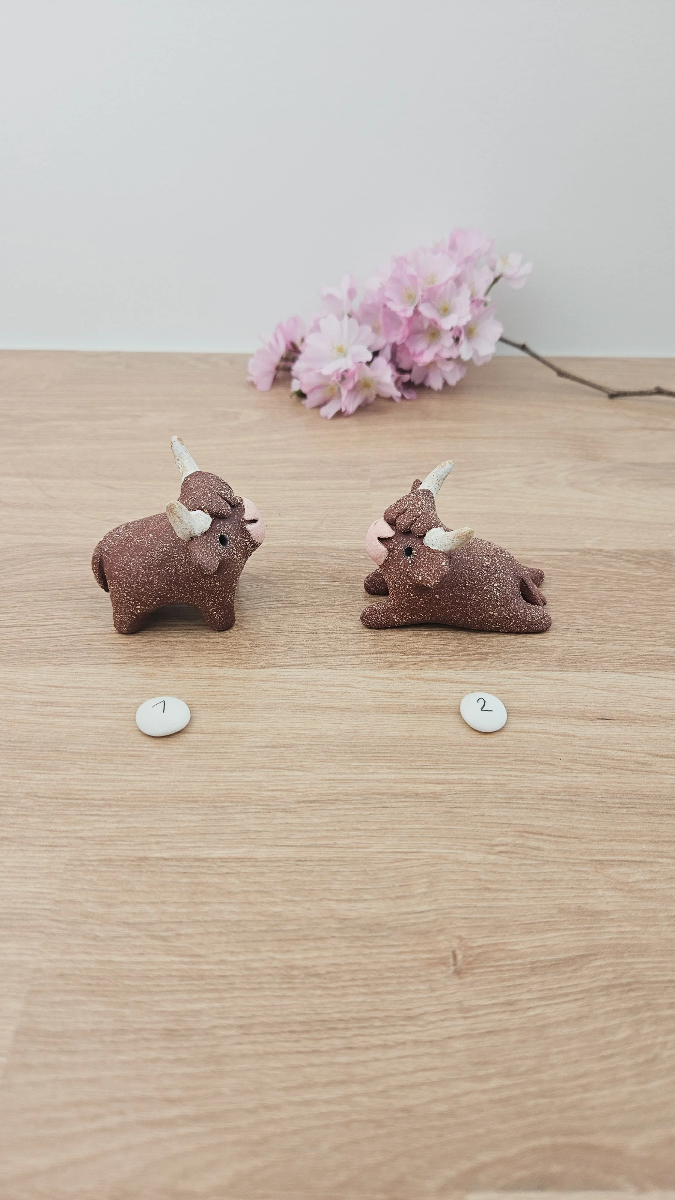 Mini Vache 20260318_140557.jpg