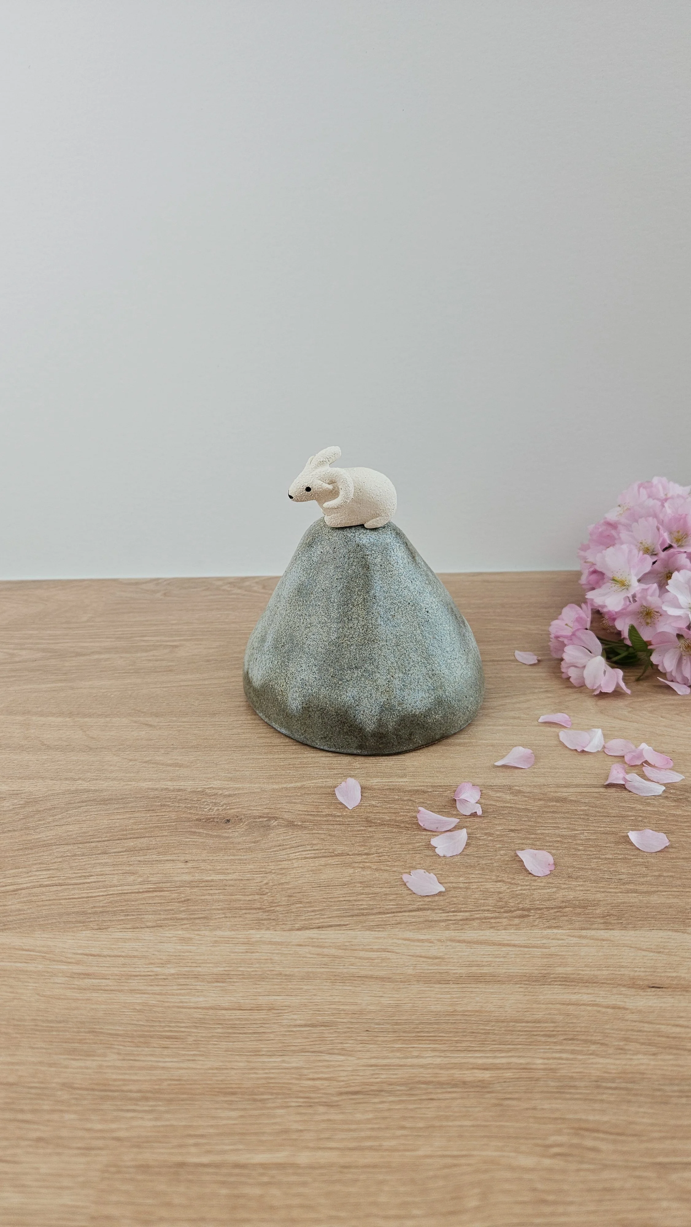 montagne Bouc 420260319_124047.jpg