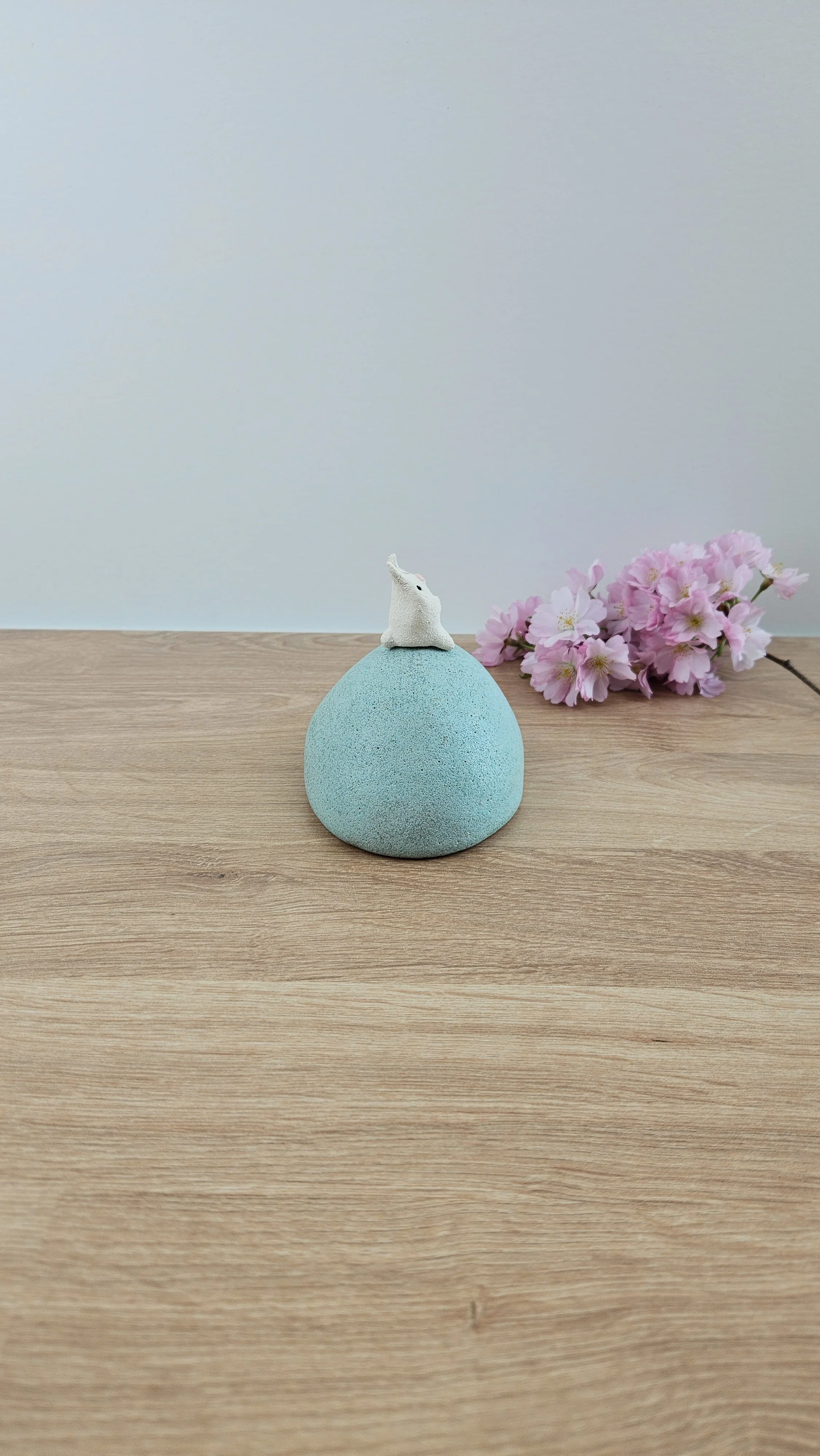 colline lapin 320260319_122240.jpg