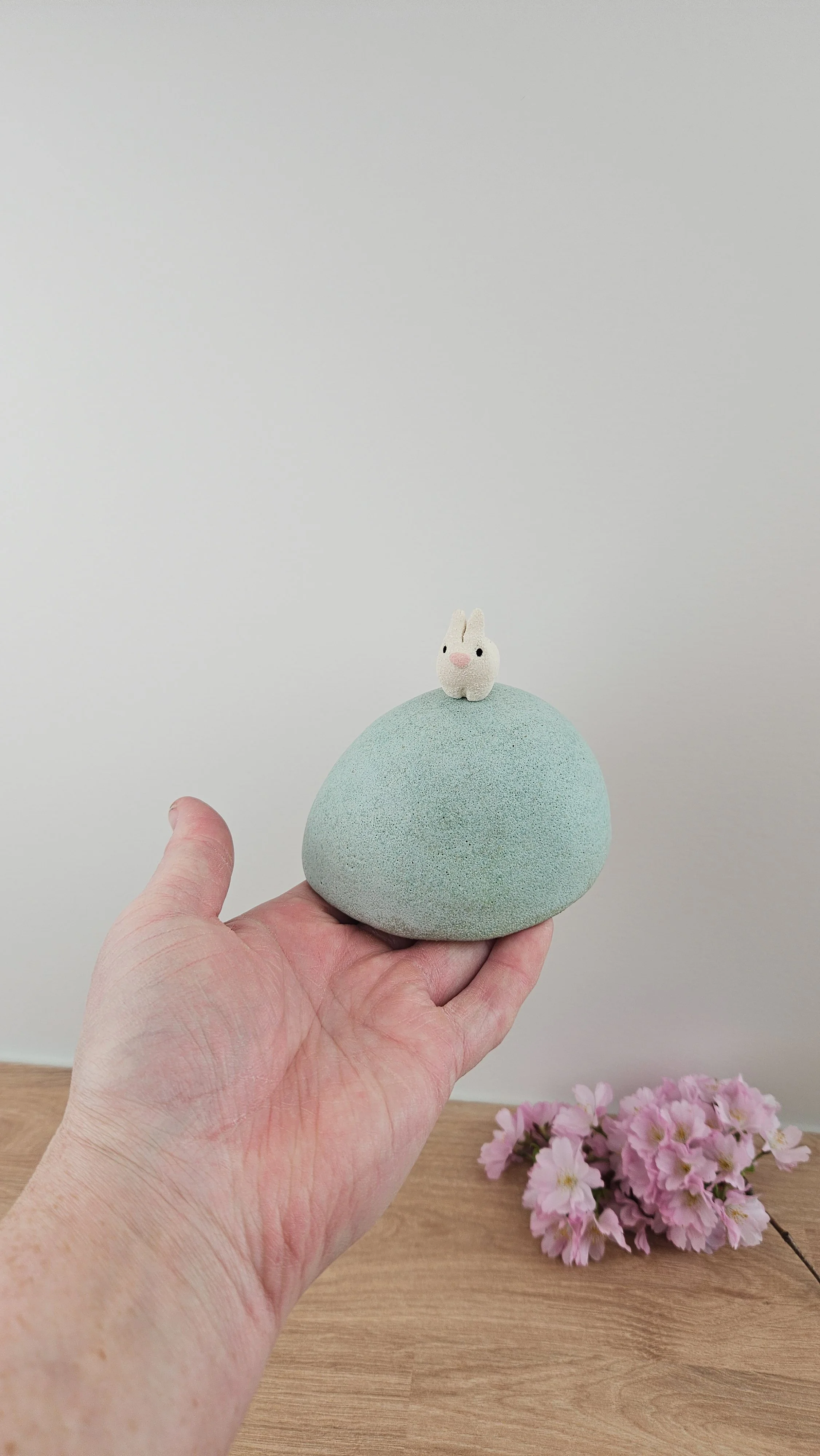 colline lapin 120260319_120915.jpg