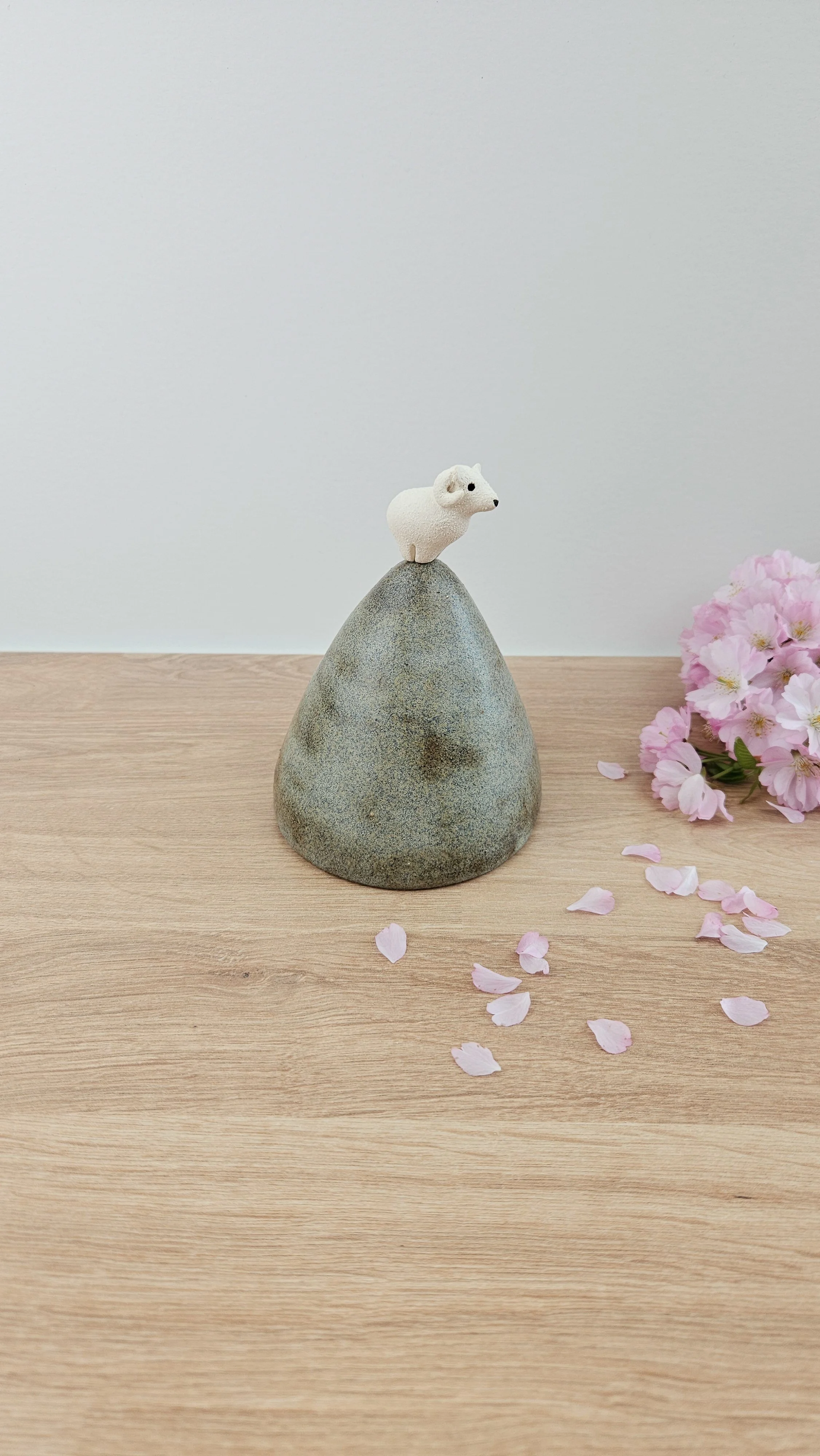 montagne Bouc 320260319_123924.jpg